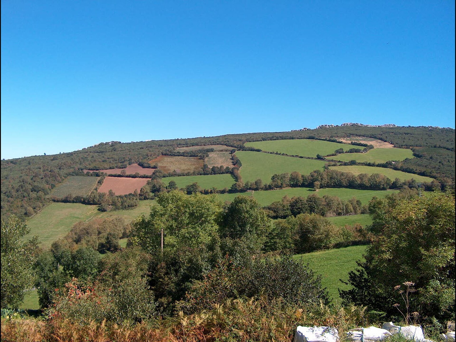 Pruneda II: Landelijk landhuis met tuin in bosrijk Asturië - foto 30