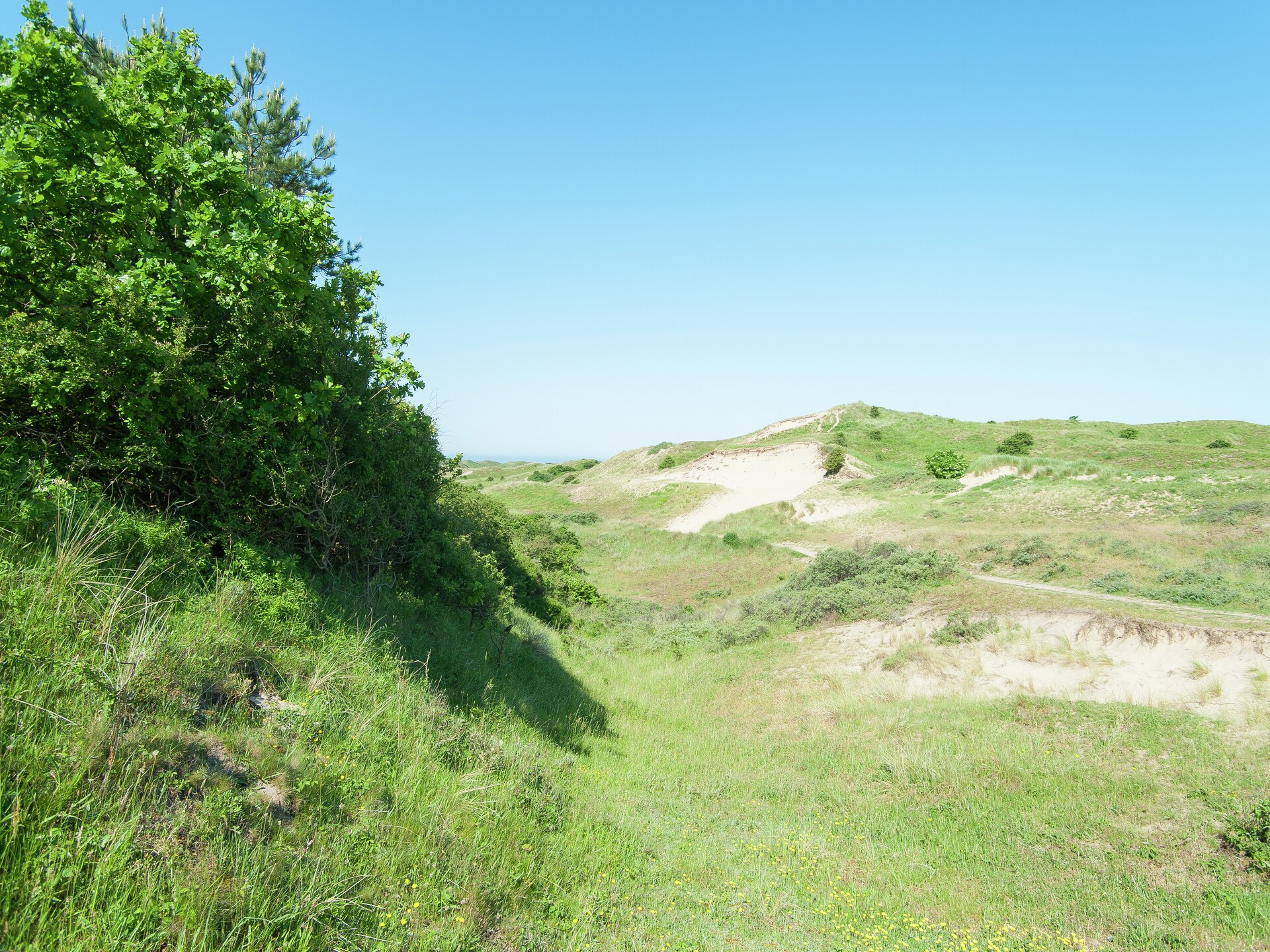 Sea Lodges Bloemendaal 4 – Luxe strandhuis met zeezicht en hond - foto 34