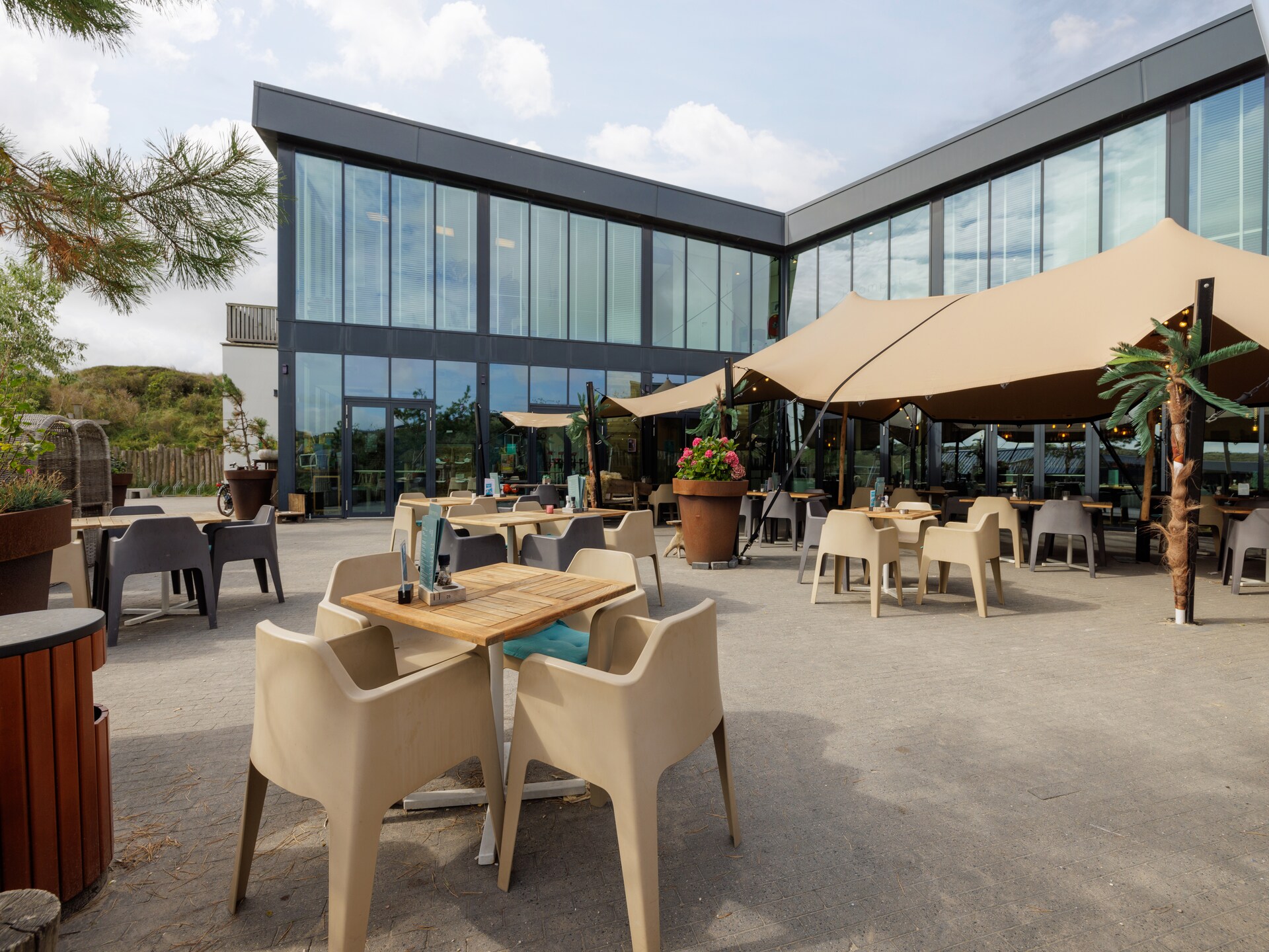 Sea Lodges Bloemendaal 4 – Luxe strandhuis met zeezicht en hond - foto 23