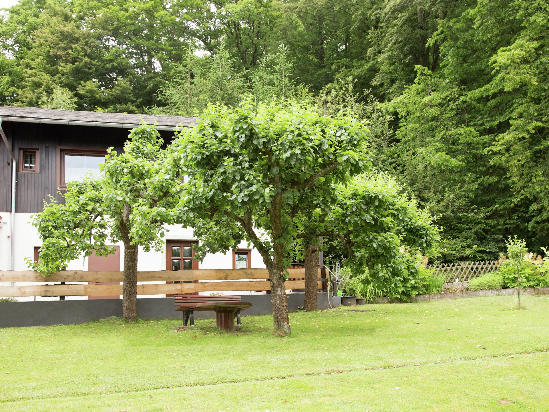 Op 1,0 km van het centrum: gezellig vakantiehuis in Medebach - foto 22