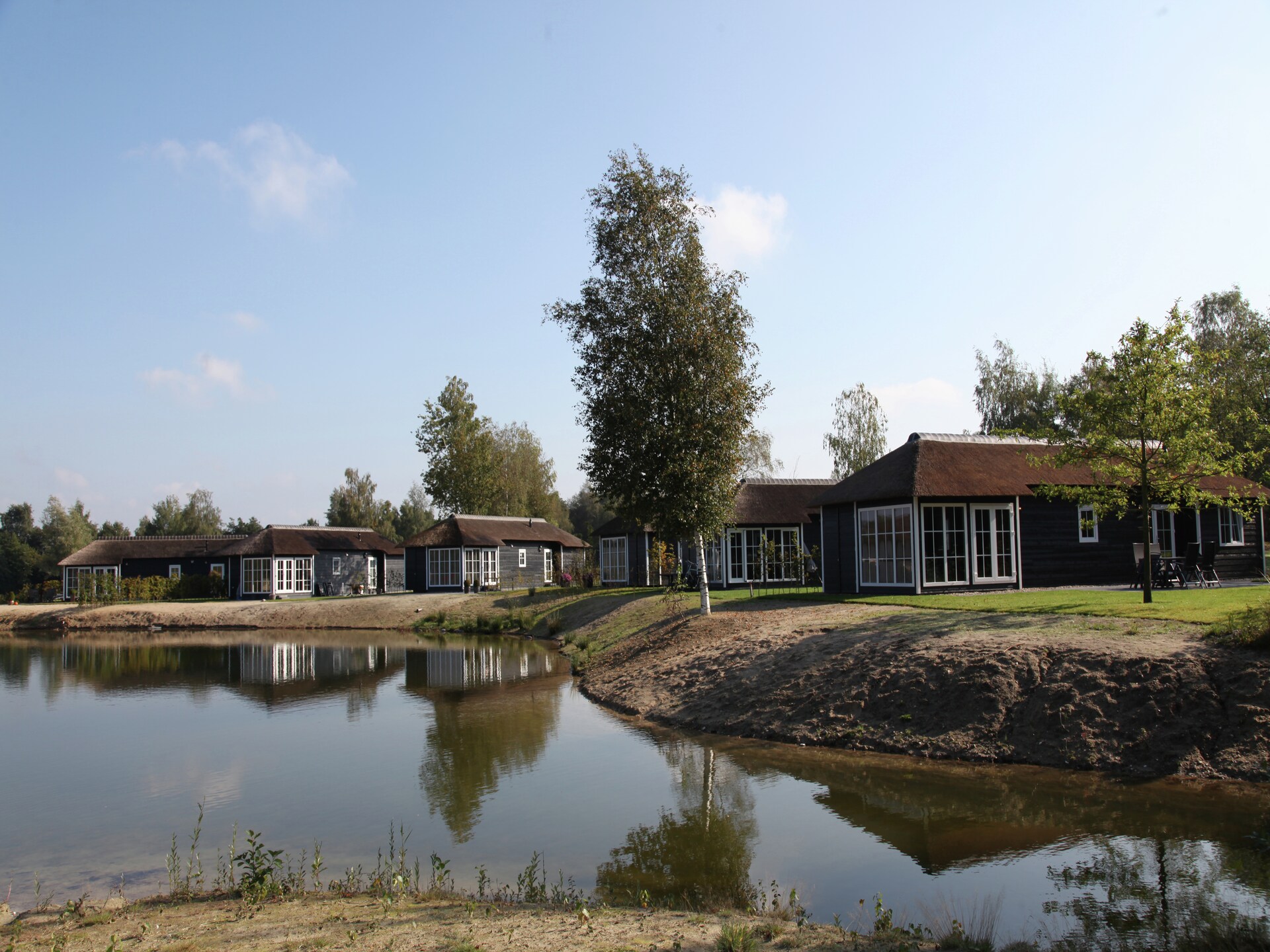 Twente Buitenverblijf 6: stijlvol chalet aan Nationaal Park Sallandse Heuvelrug - foto 10