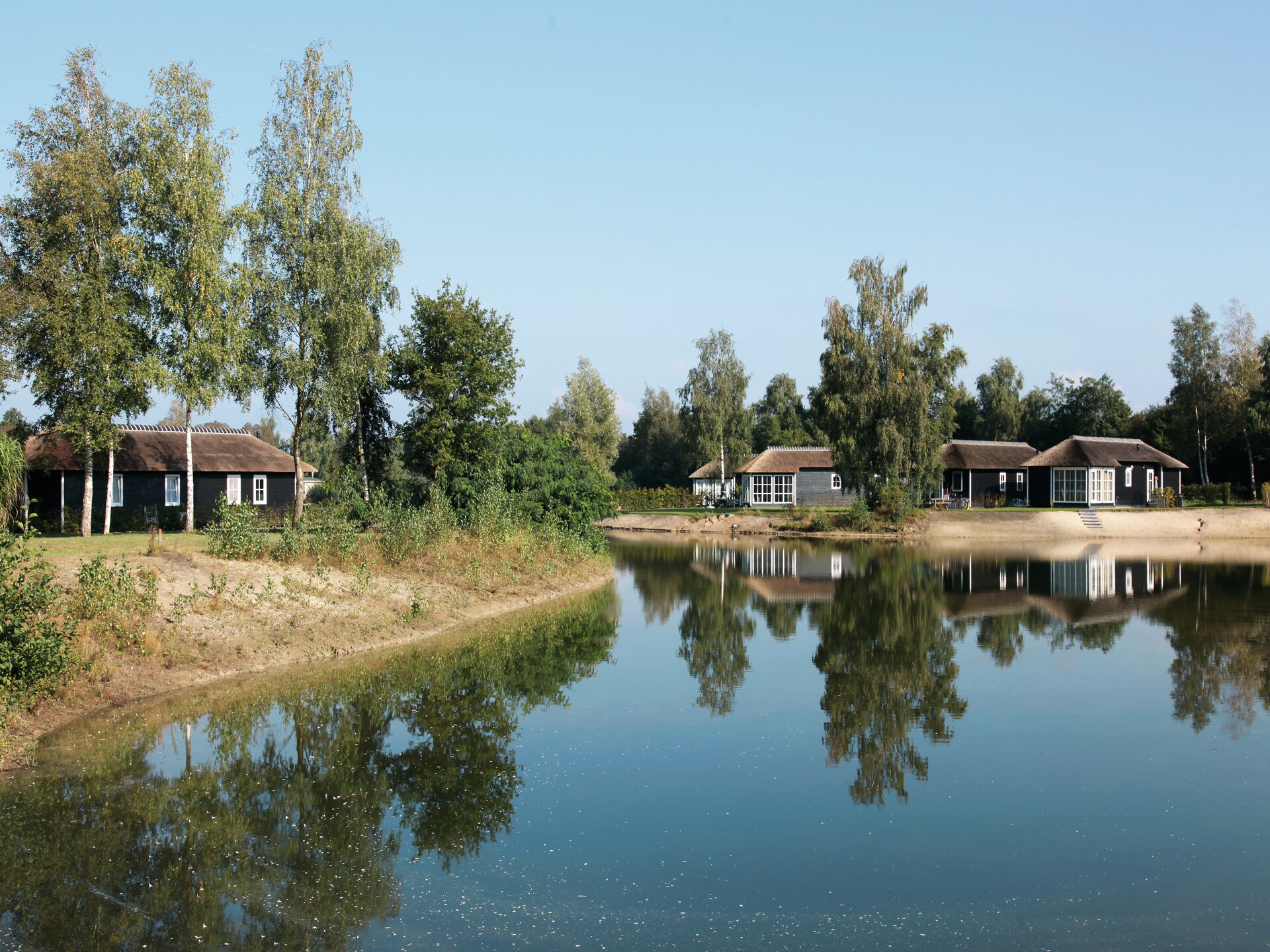 Twente Buitenverblijf 6: stijlvol chalet aan Nationaal Park Sallandse Heuvelrug - foto 11