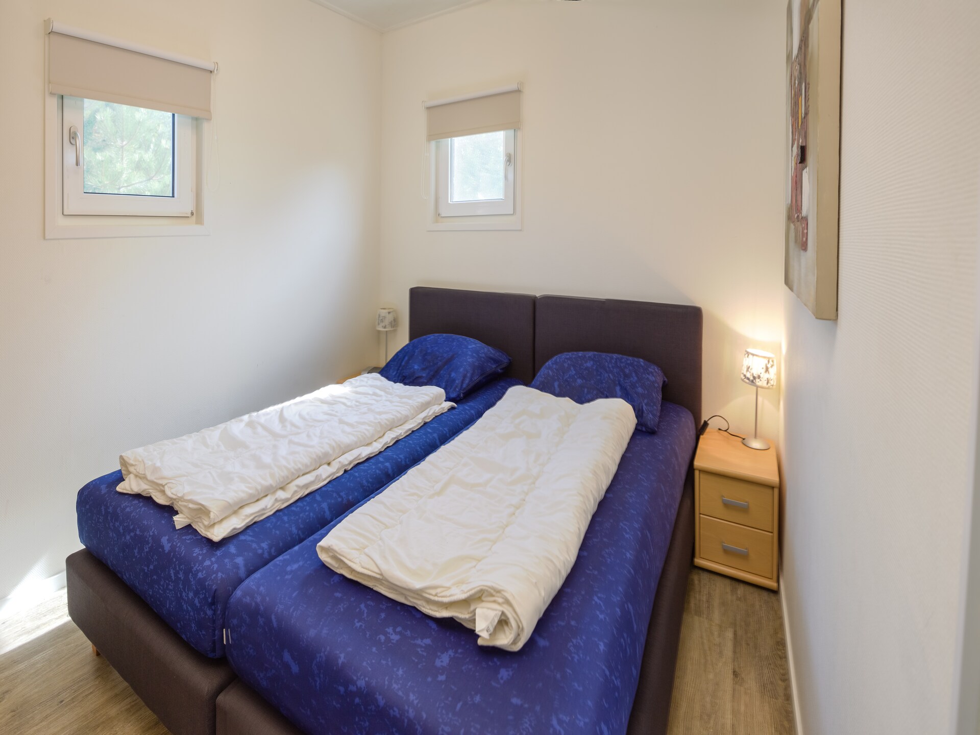 Vrijstaand vakantiehuis op Ameland, 10 minuten van het strand - foto 2