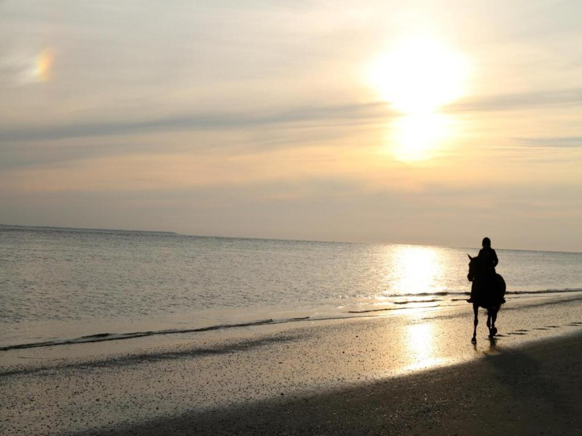 Vrijstaand vakantiehuis op Ameland, 10 minuten van het strand - foto 36