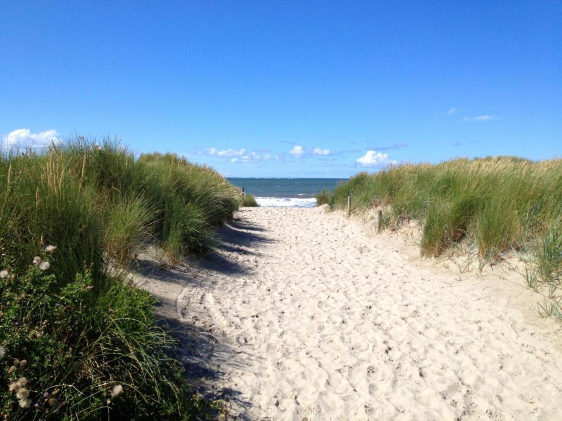 Stijlvolle Duinlodge Boomhiemke 7 – huisdiervriendelijk genieten op Ameland - foto 36