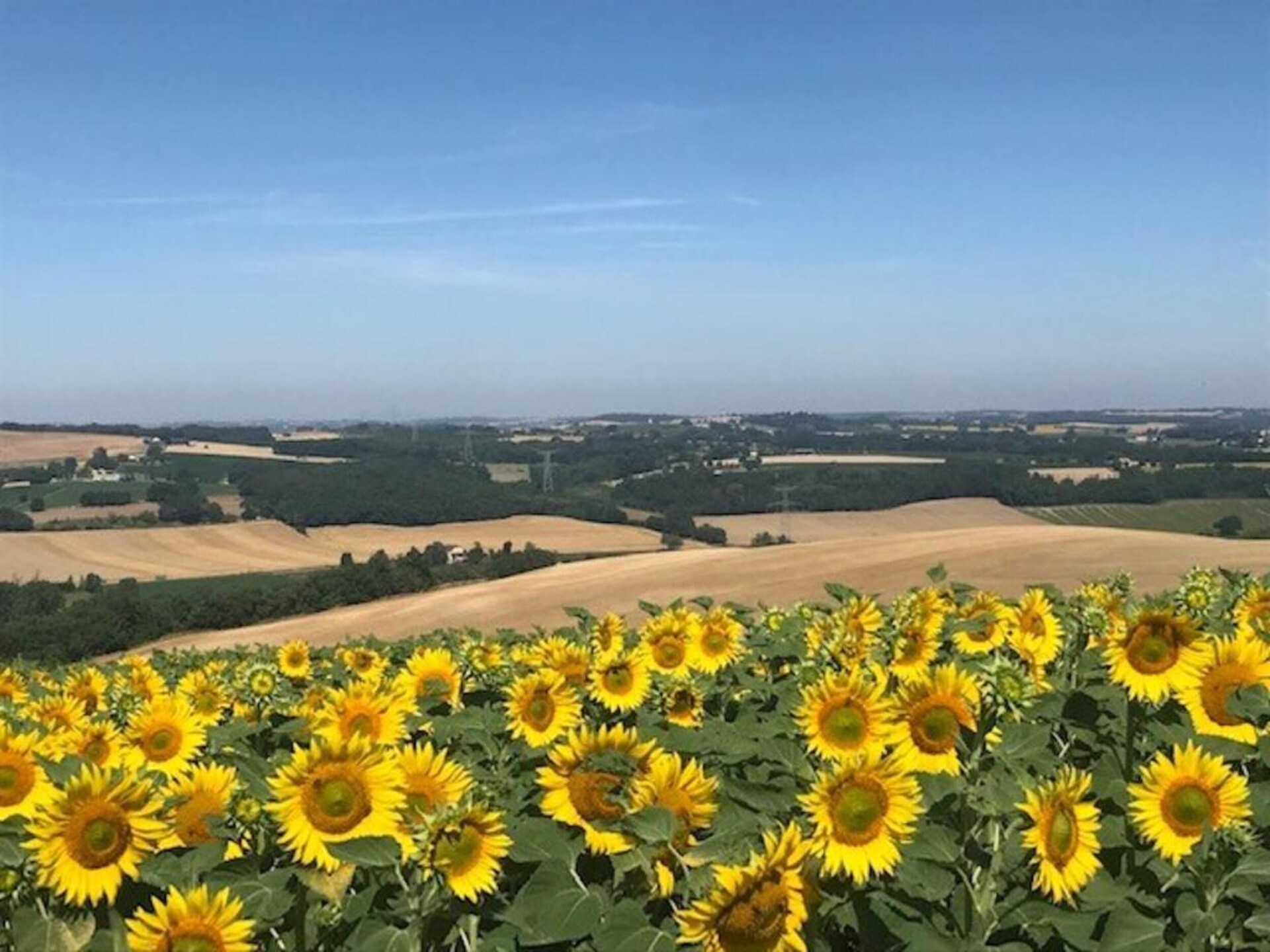 Modern vakantiehuis Le Chêne-Liège met privézwembad in Dunes, vlakbij golfbaan - foto 28