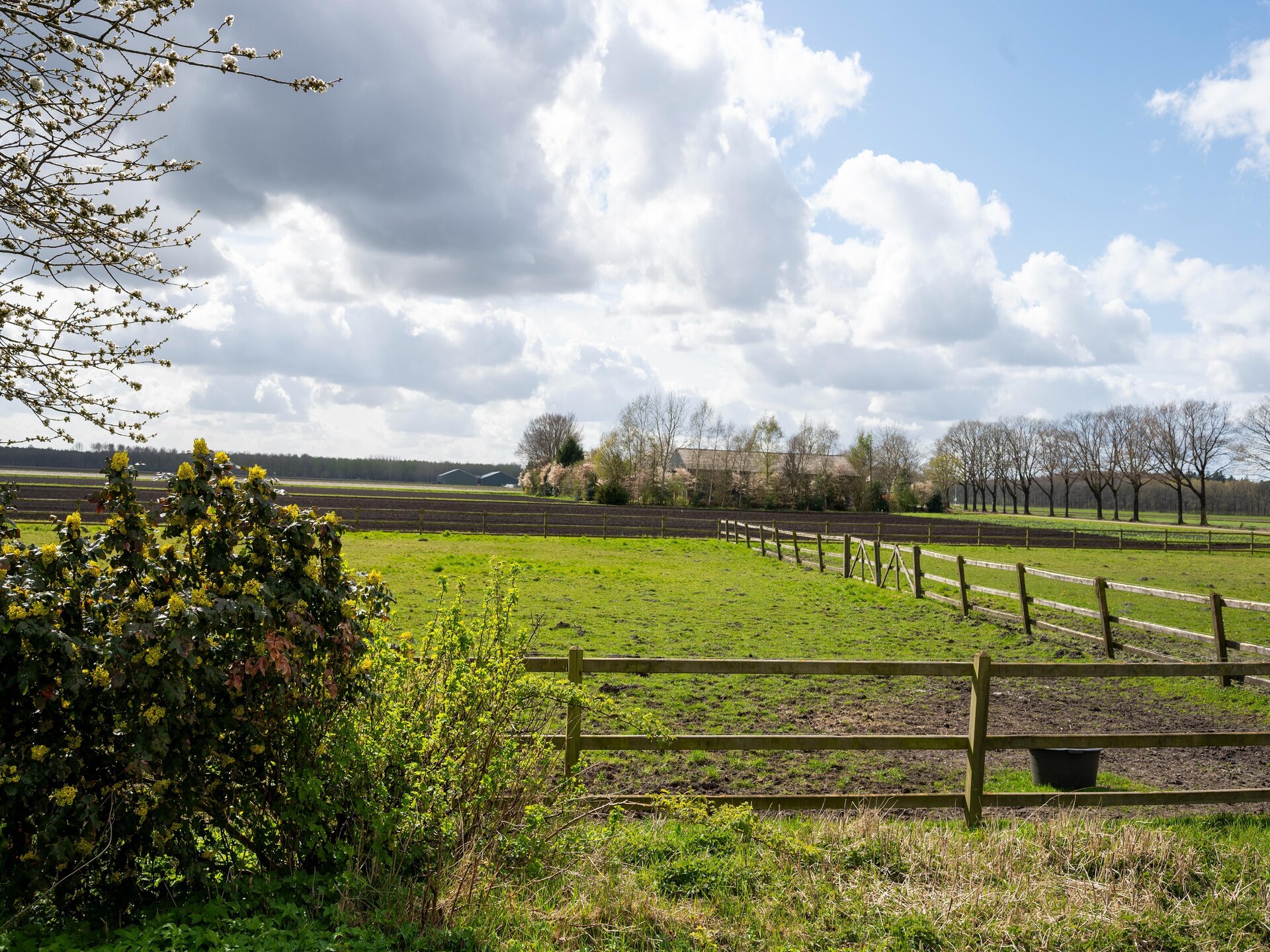 Luxe vakantiehuis De Kibbelhoeve: 8 pers., golf & natuur in Drenthe - foto 30