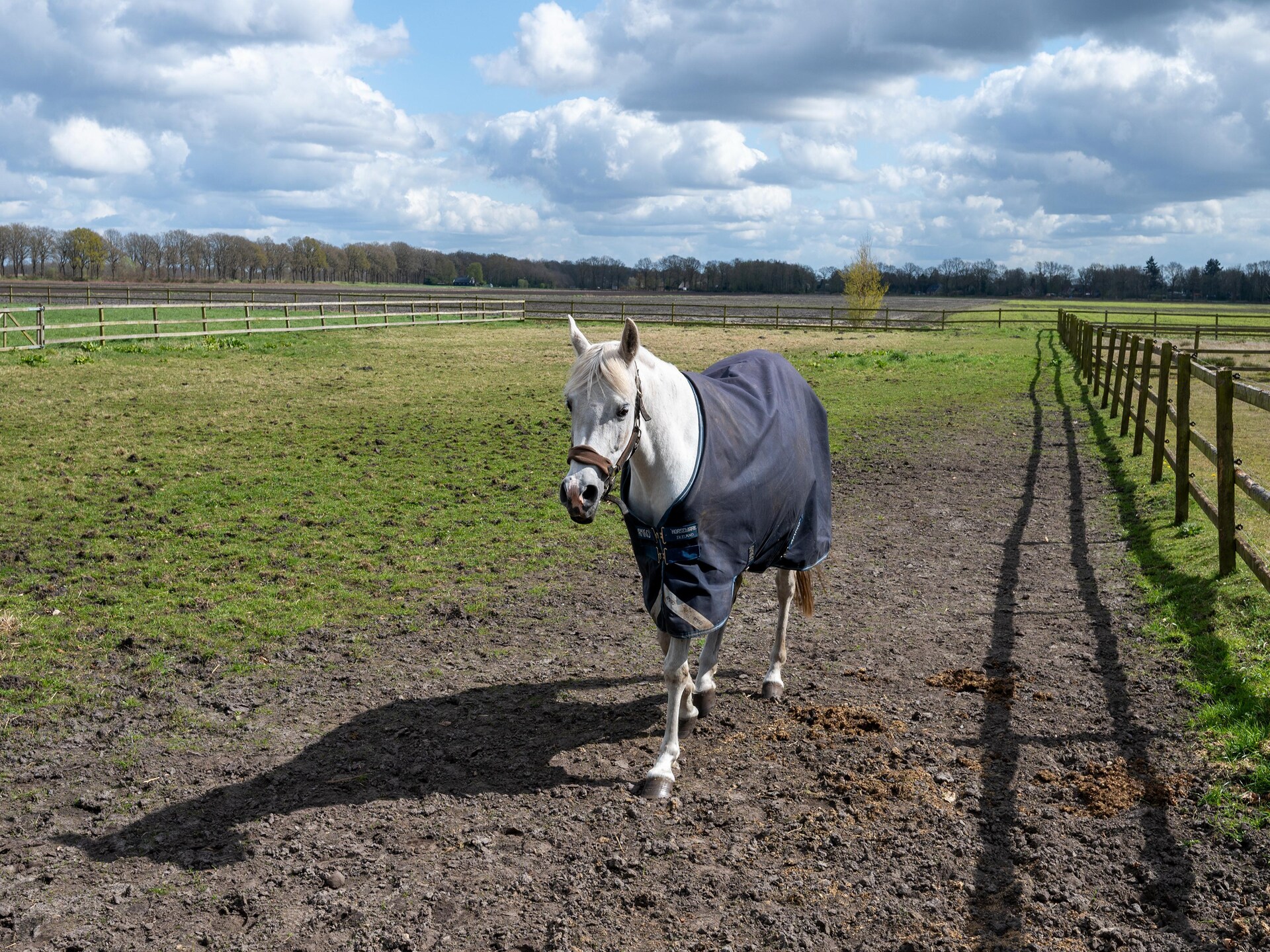 Luxe vakantiehuis De Kibbelhoeve: 8 pers., golf & natuur in Drenthe - foto 31