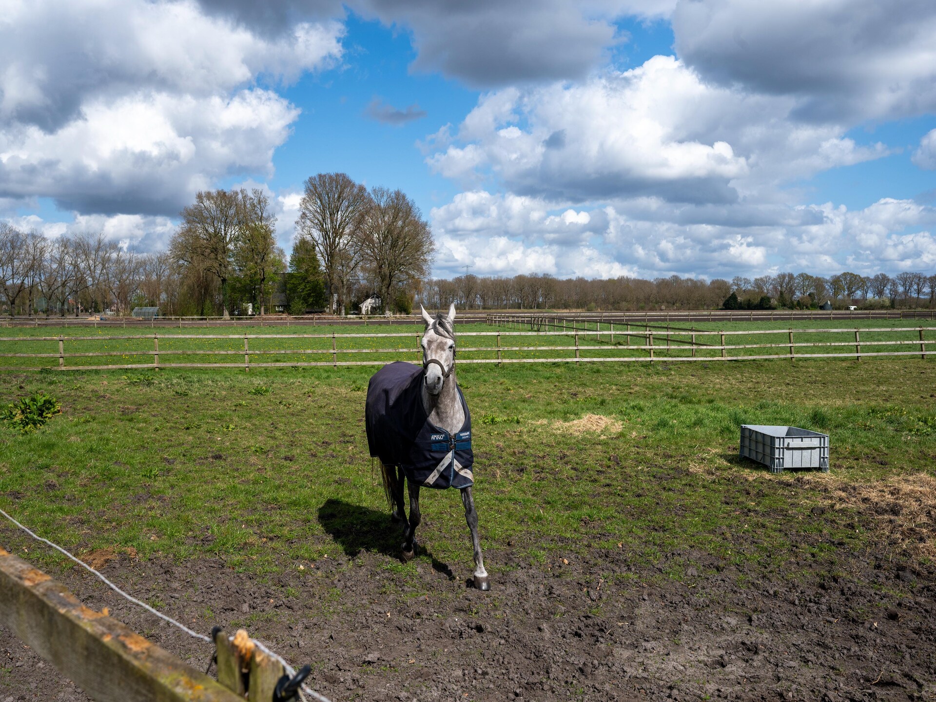 Luxe vakantiehuis De Kibbelhoeve: 8 pers., golf & natuur in Drenthe - foto 33