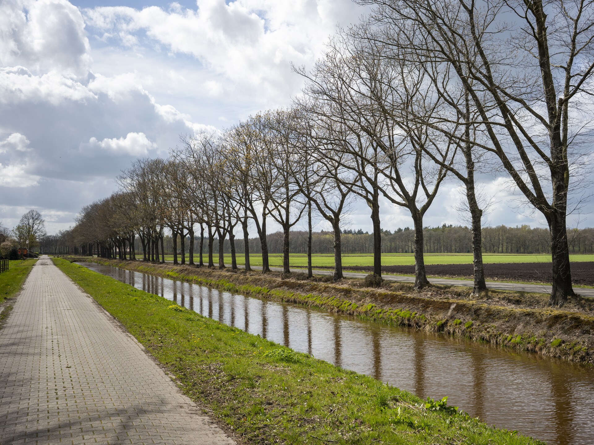 Luxe vakantiehuis De Kibbelhoeve: 8 pers., golf & natuur in Drenthe - foto 38
