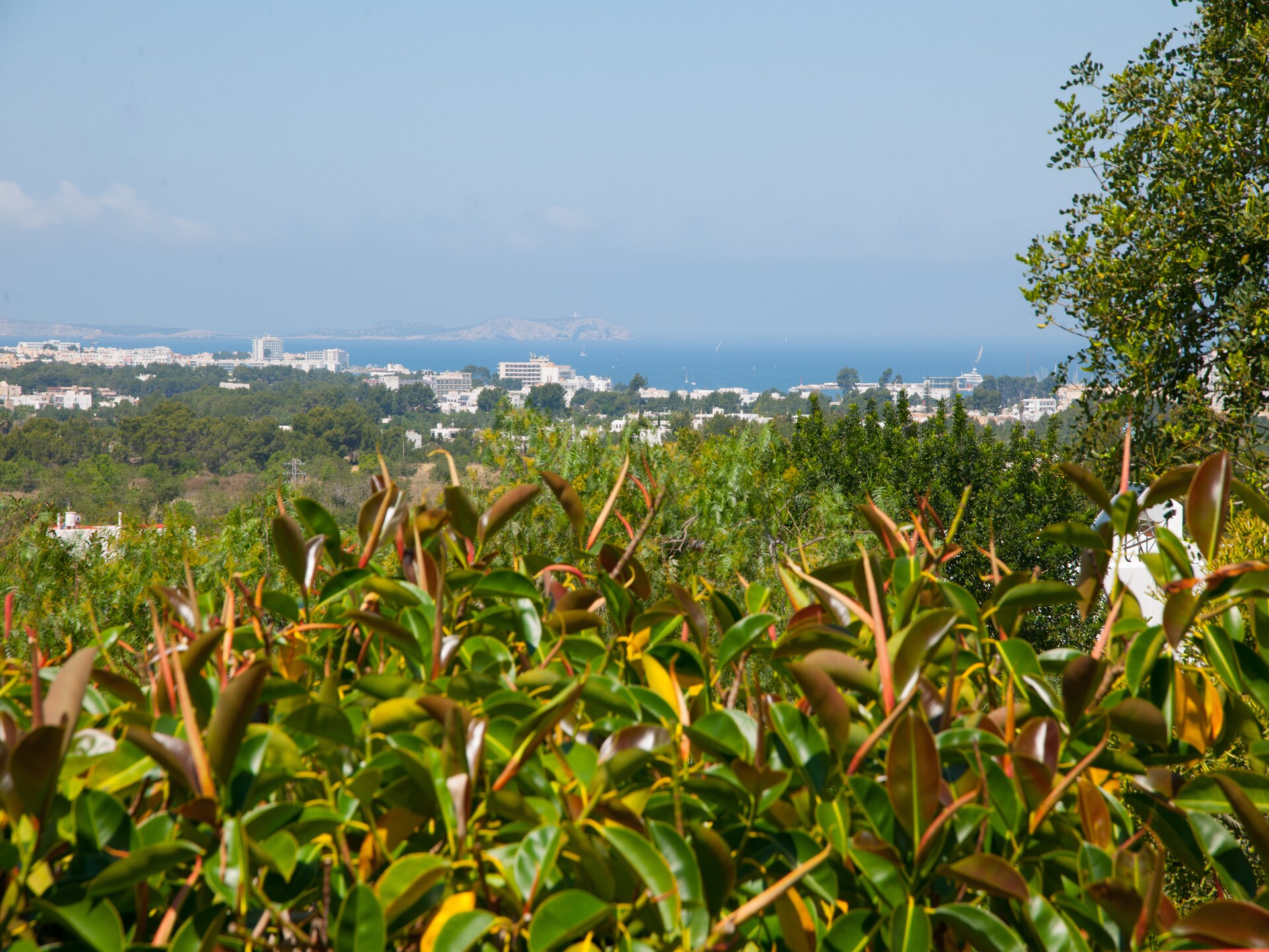 Authentieke finca Can Jurat: landelijke rust bij San José met zwembad - foto 37