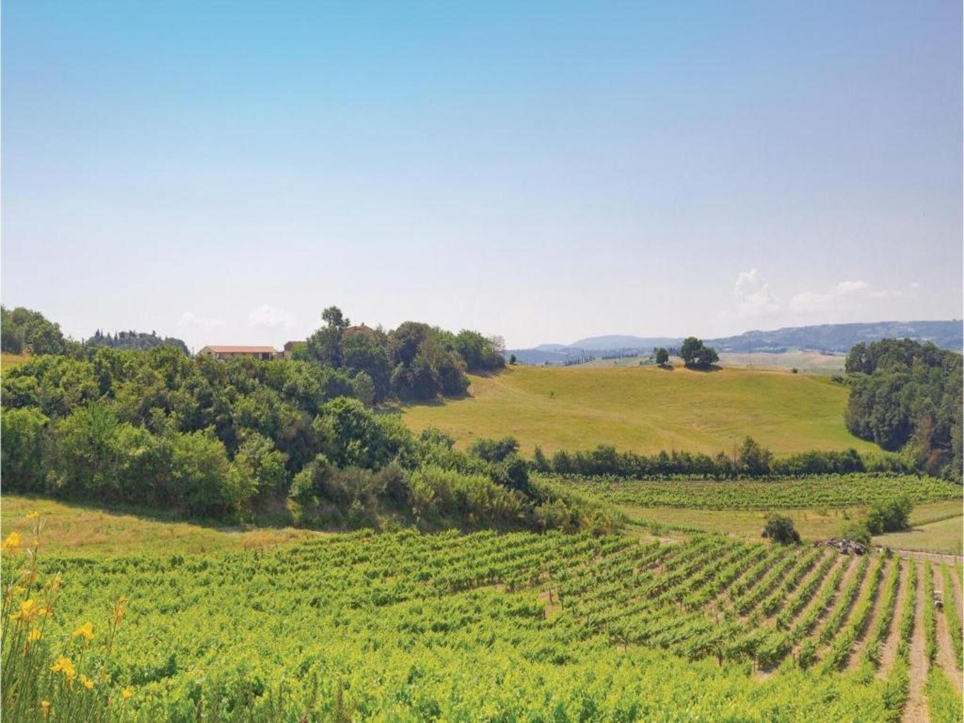 Sfeervol appartement in Toscane met gedeeld zwembad, nabij Chianti - foto 37