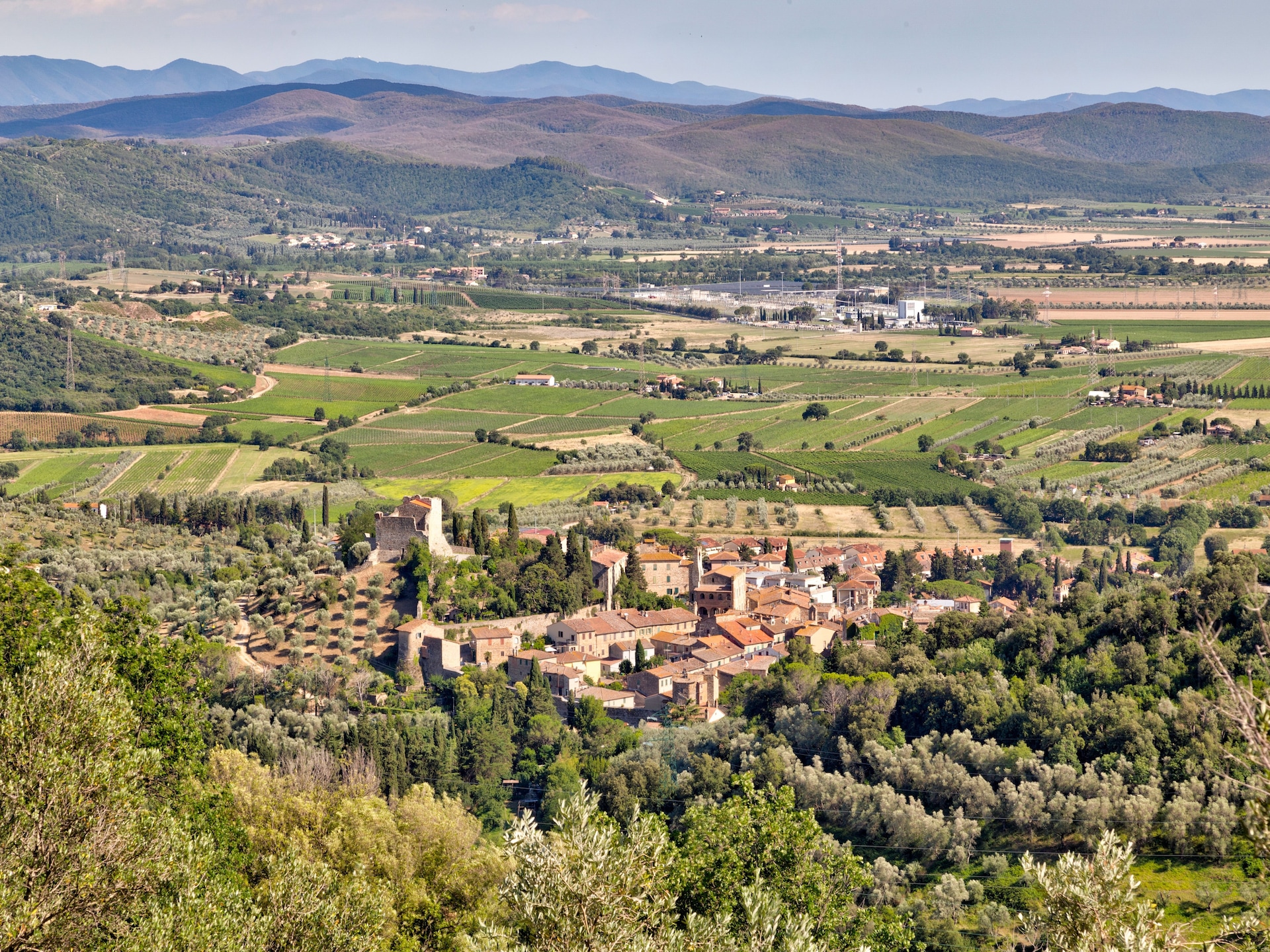 Karakteristieke boerderij Casa Oleandri in Suvereto - foto 27