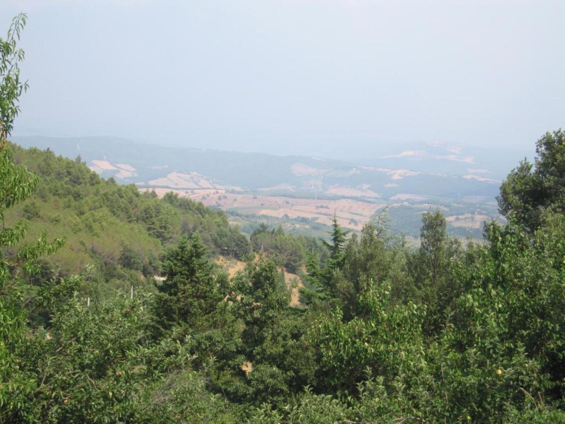 Karakteristieke boerderij Casa Oleandri in Suvereto - foto 29