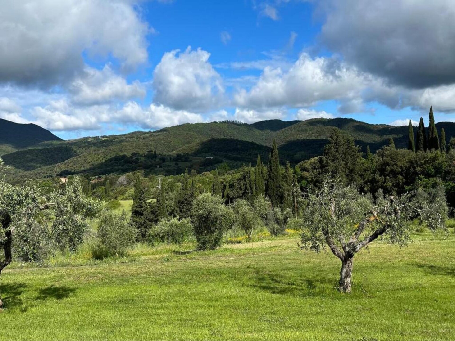 Karakteristieke boerderij Casa Oleandri in Suvereto - foto 33