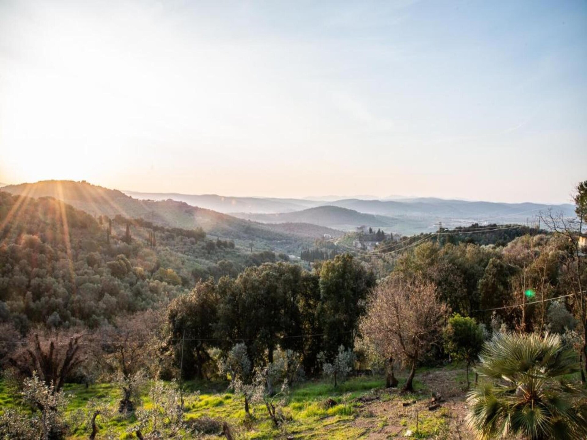 Karakteristieke boerderij Casa Oleandri in Suvereto - foto 26