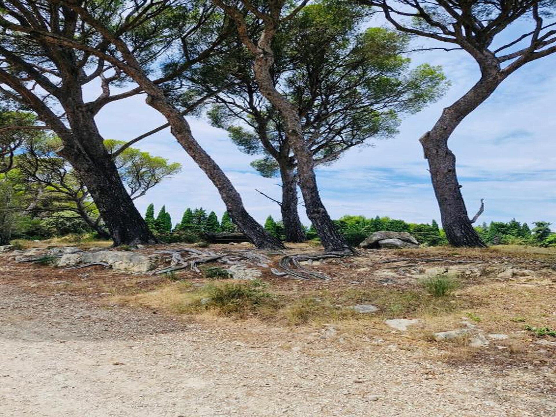 Duplex voor 6 personen met zwembad en sauna in Paradou, Provence - foto 36