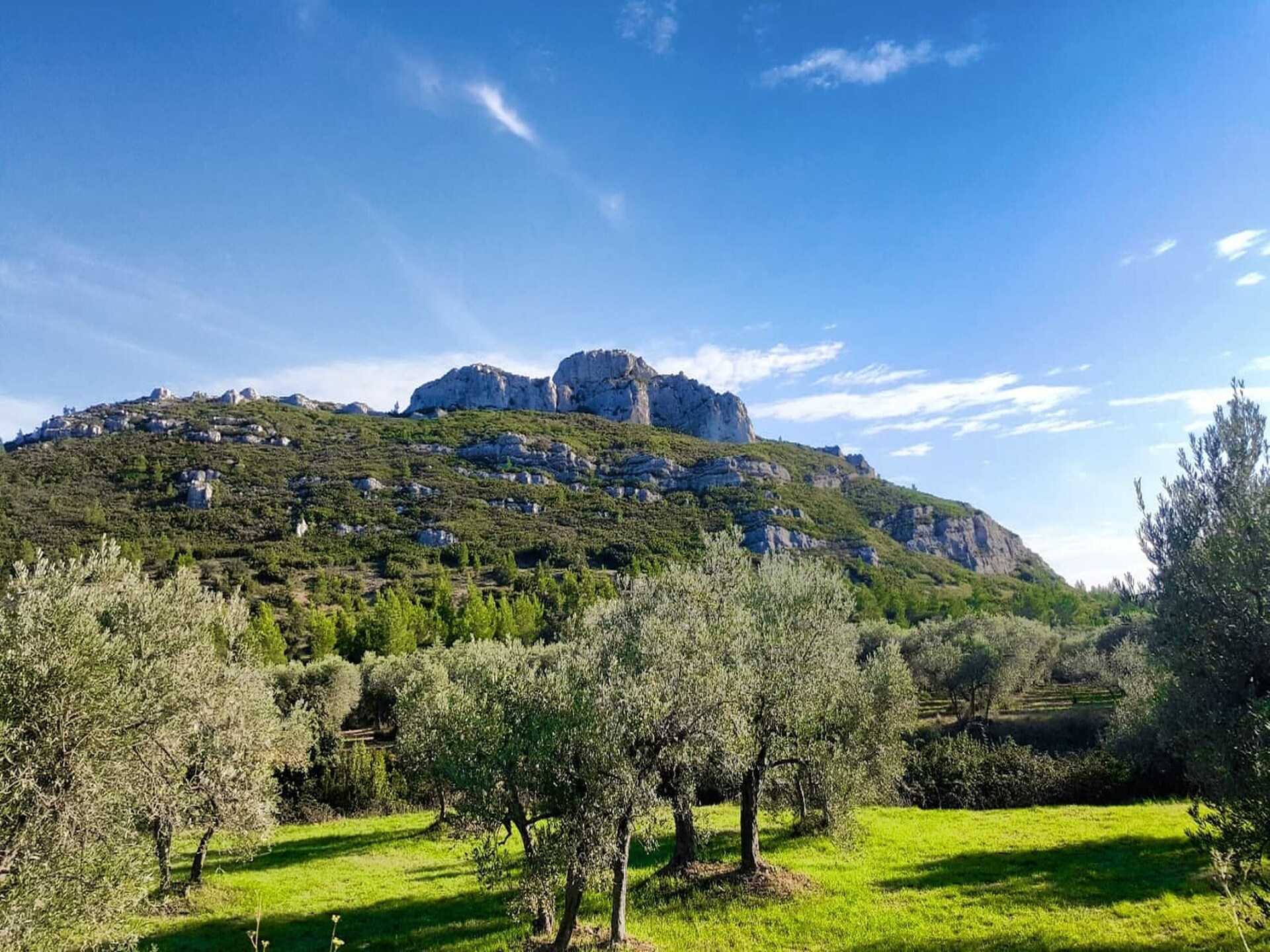 Duplex voor 6 personen met zwembad en sauna in Paradou, Provence - foto 40