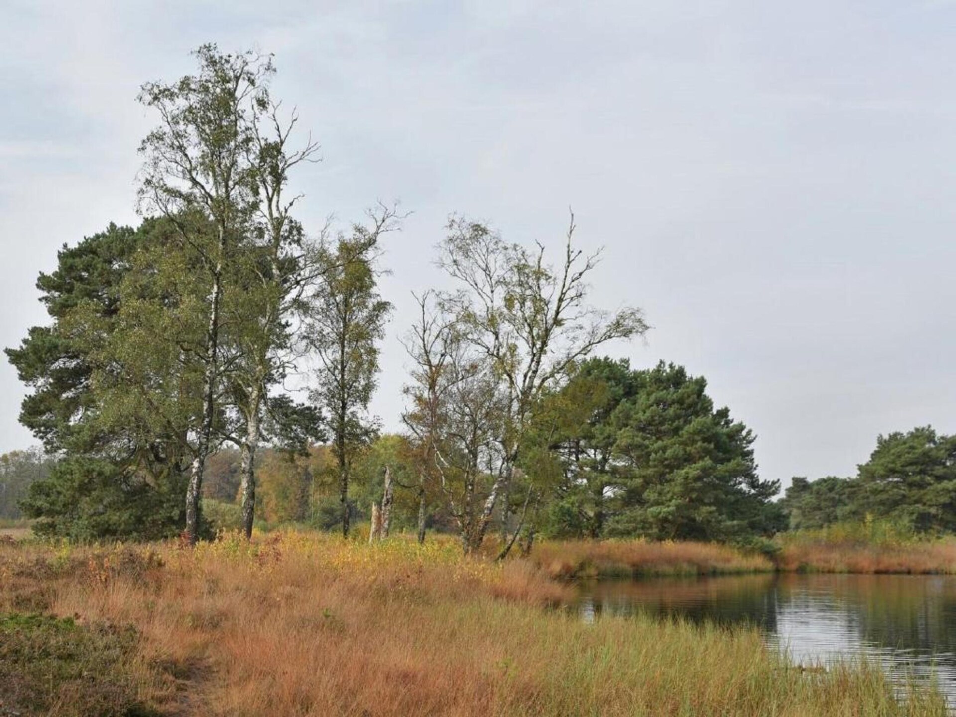 Vakantiehuis Tuinpad in Geesteren: natuur, golf en comfort voor 5 personen - foto 35