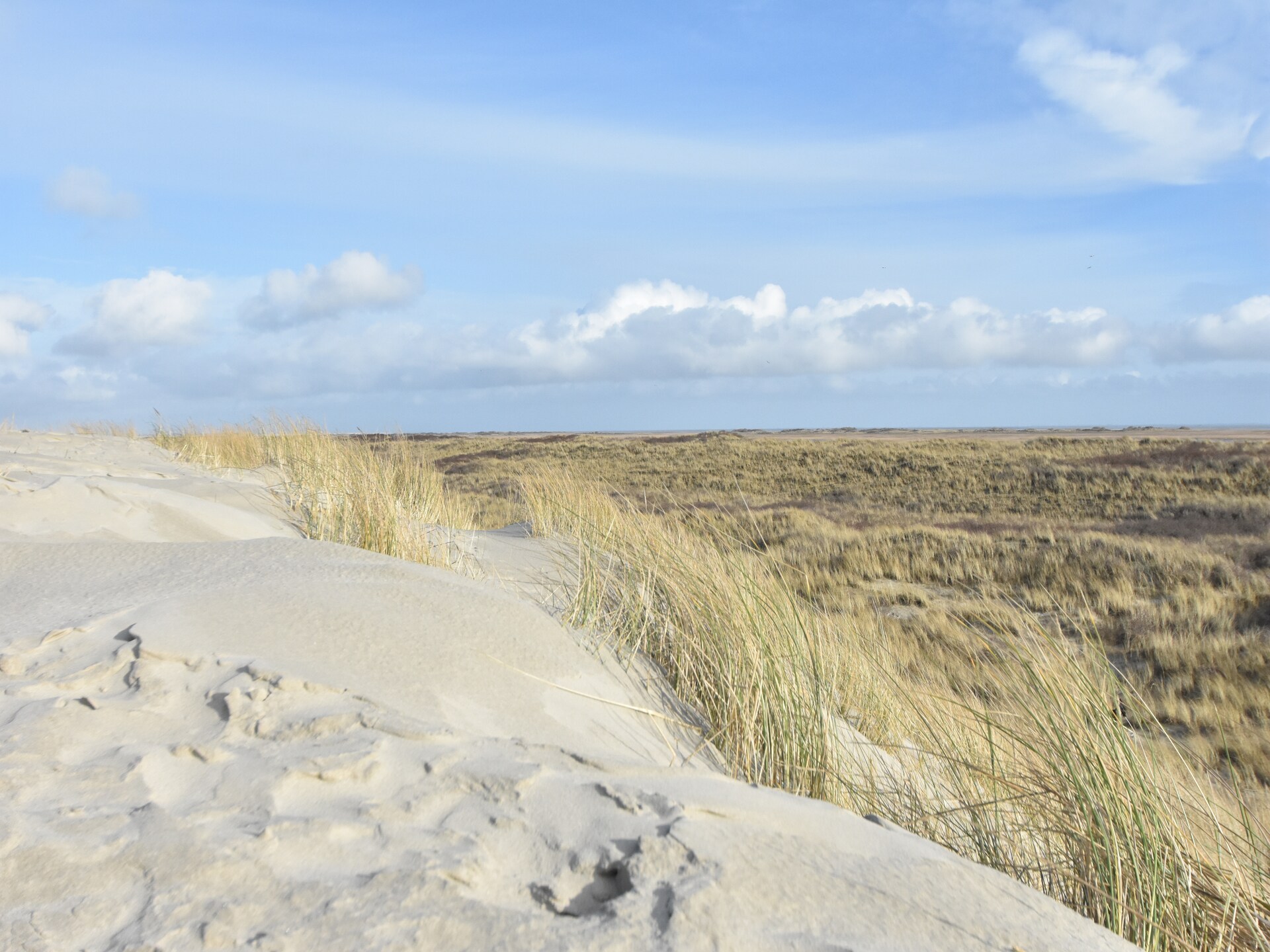 Duindroom: luxe villa met uitzicht op eigen duinvallei op Terschelling - foto 25