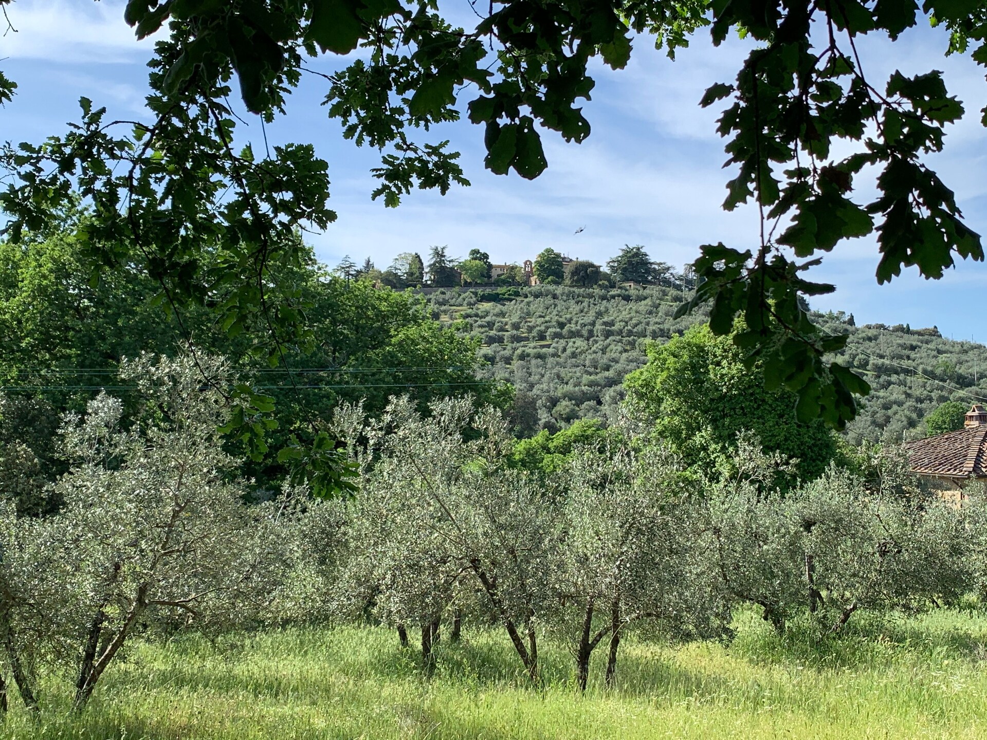 Ruim vakantiehuis Belvedere in Pergine Valdarno voor 5 personen - foto 14