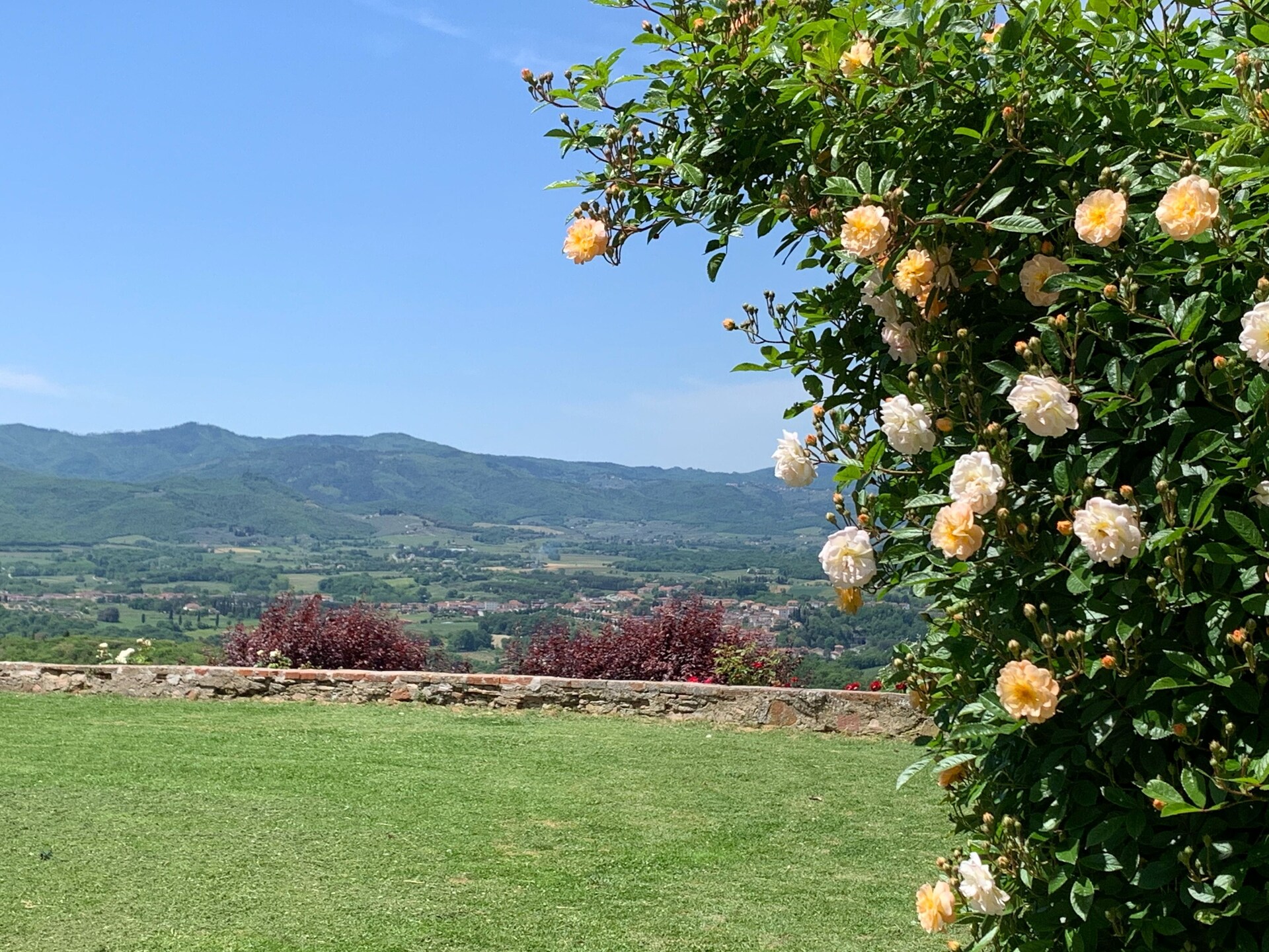 Ruim vakantiehuis Belvedere in Pergine Valdarno voor 5 personen - foto 8