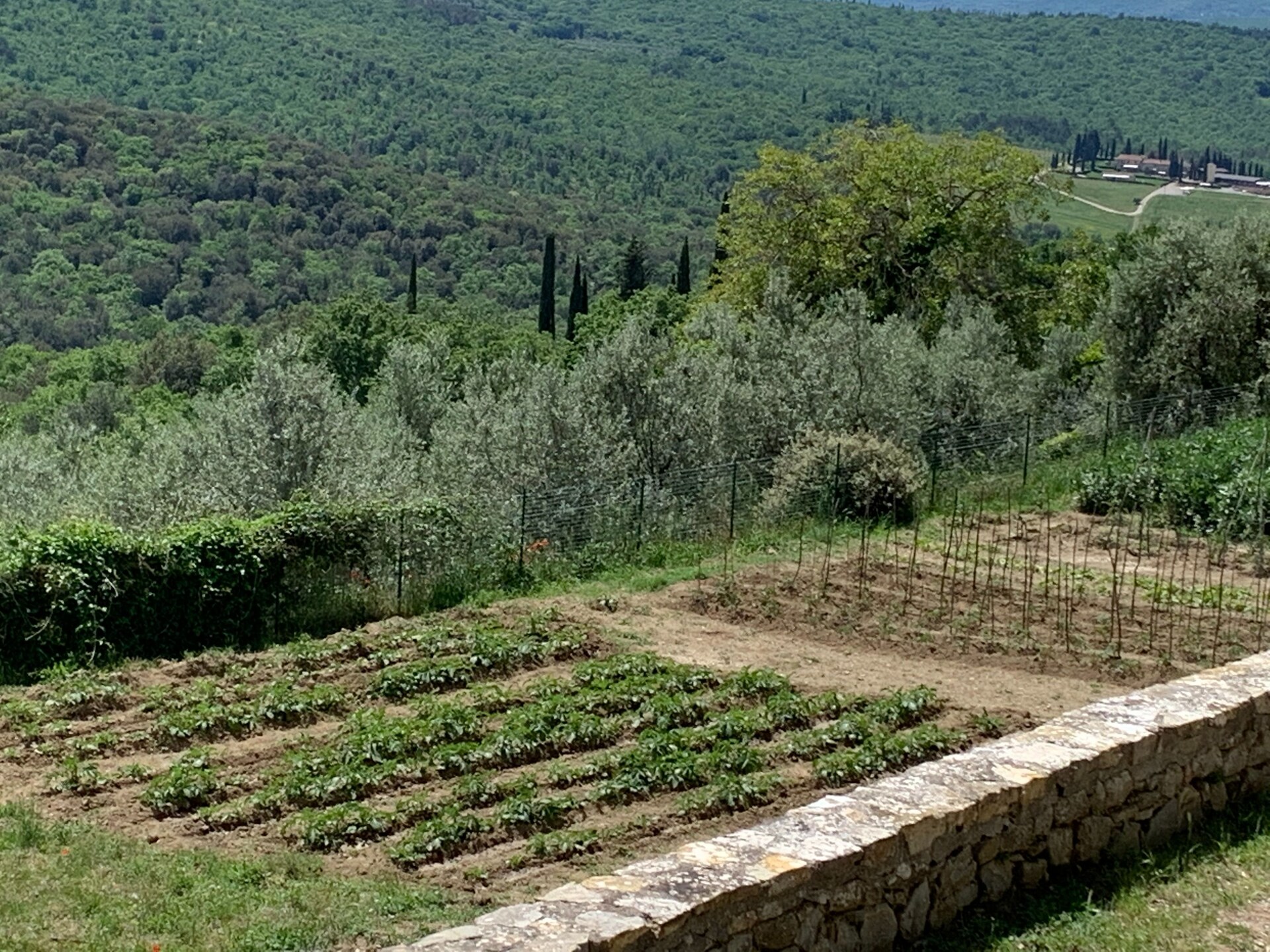 Ruim vakantiehuis Belvedere in Pergine Valdarno voor 5 personen - foto 15