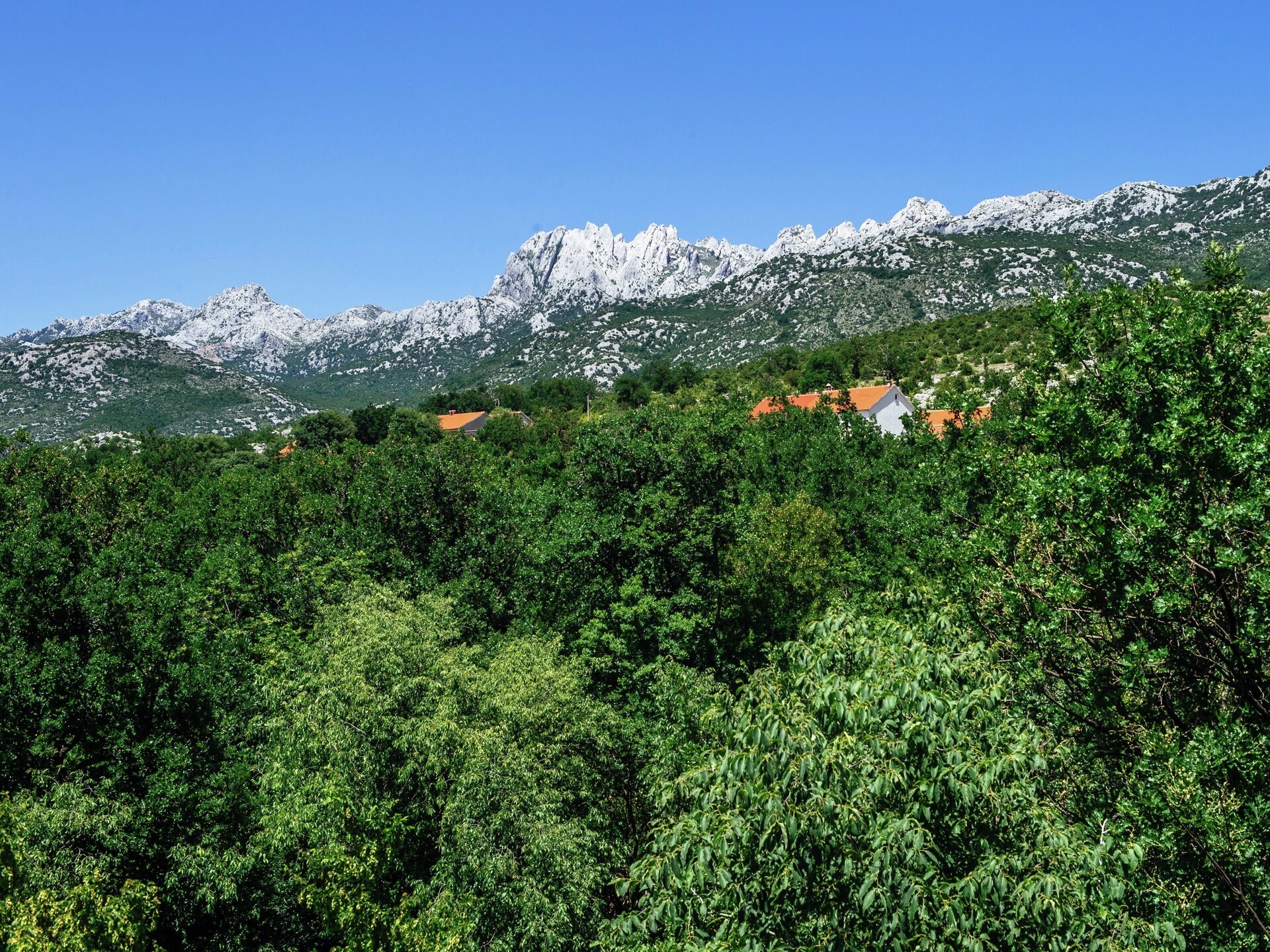 Vrijstaand boshuis met privézwembad bij Zrmanja rivier, Obrovac - foto 32