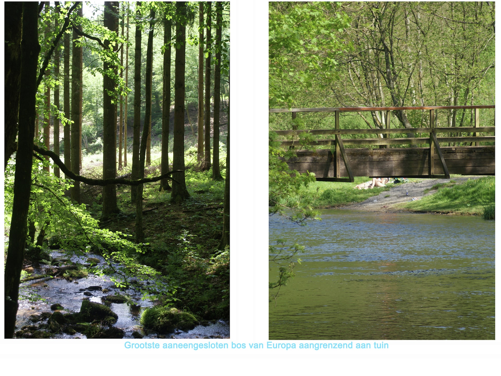 Domaine de Barbouyons - foto 40