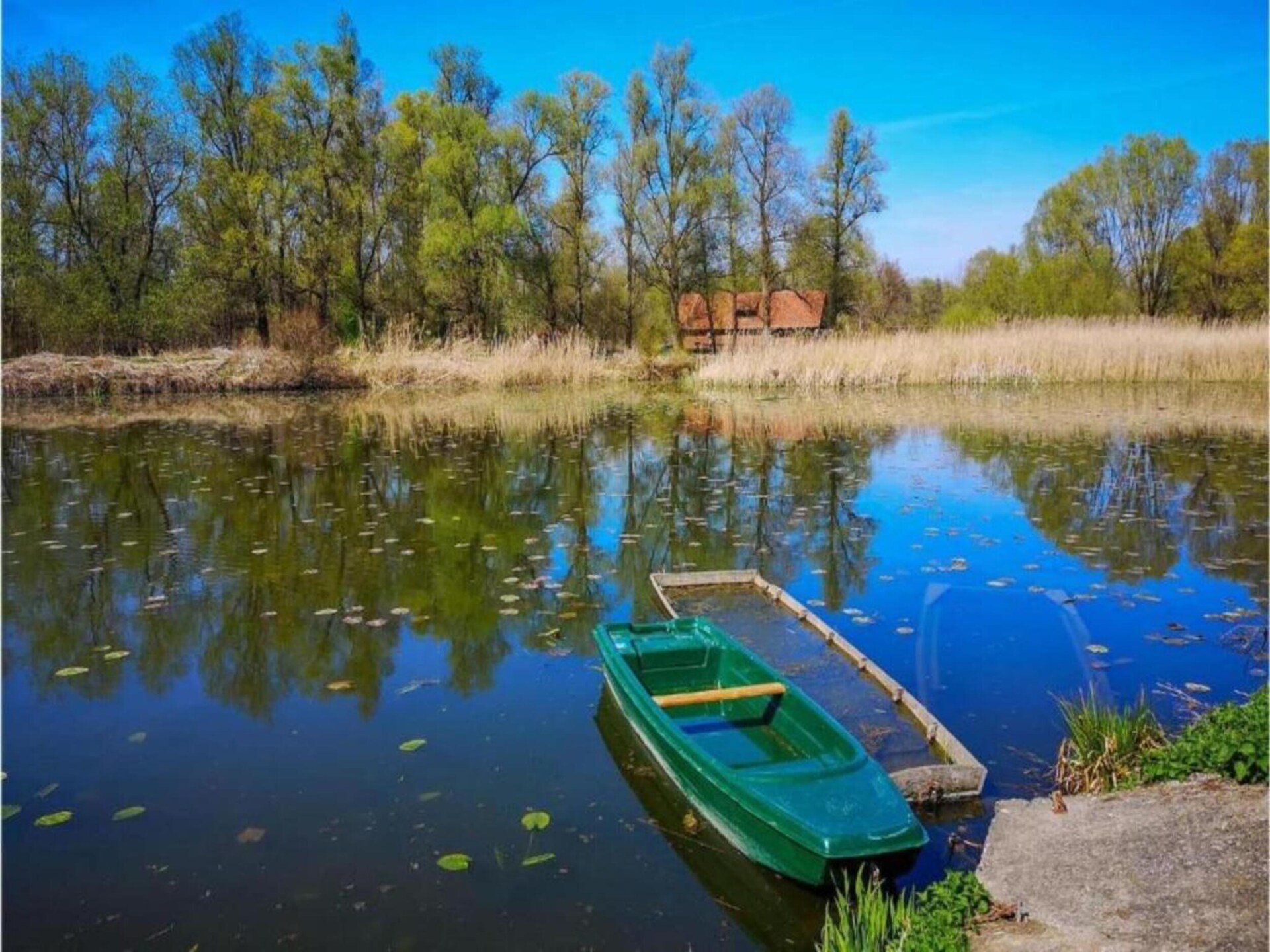Villa Chiara: Vrijstaand vakantiehuis met privézwembad op 900m van zee in Dramalj - foto 30