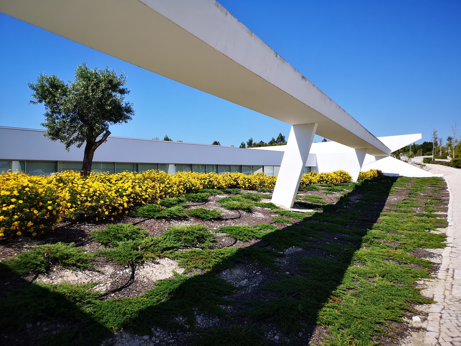 Villa Gonzalo: Luxe designvilla met privézwembad aan golfcourse in Óbidos - foto 39