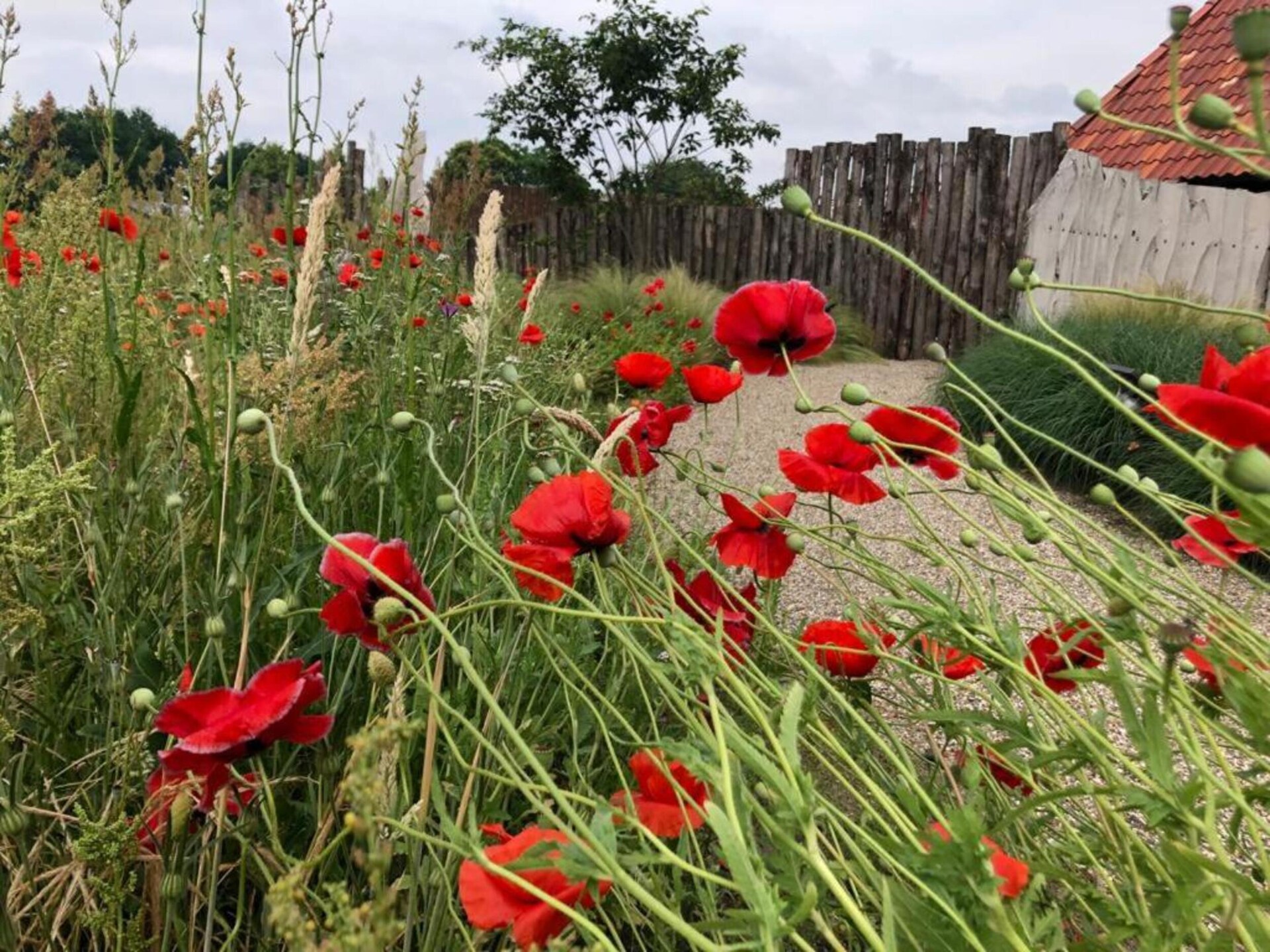 Vrijstaande 4-persoonsbungalow op rustig vakantiepark in Uden - foto 37