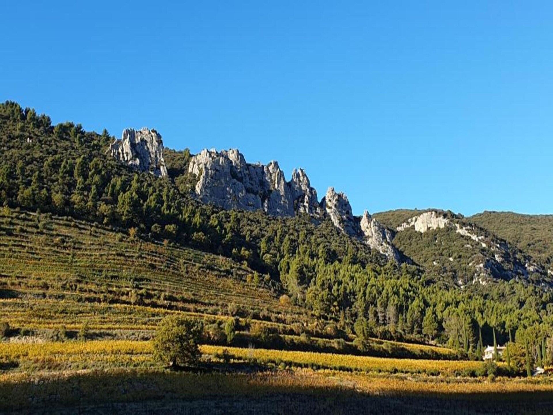 Ruime villa met privézwembad aan de voet van de Mont Ventoux - foto 36