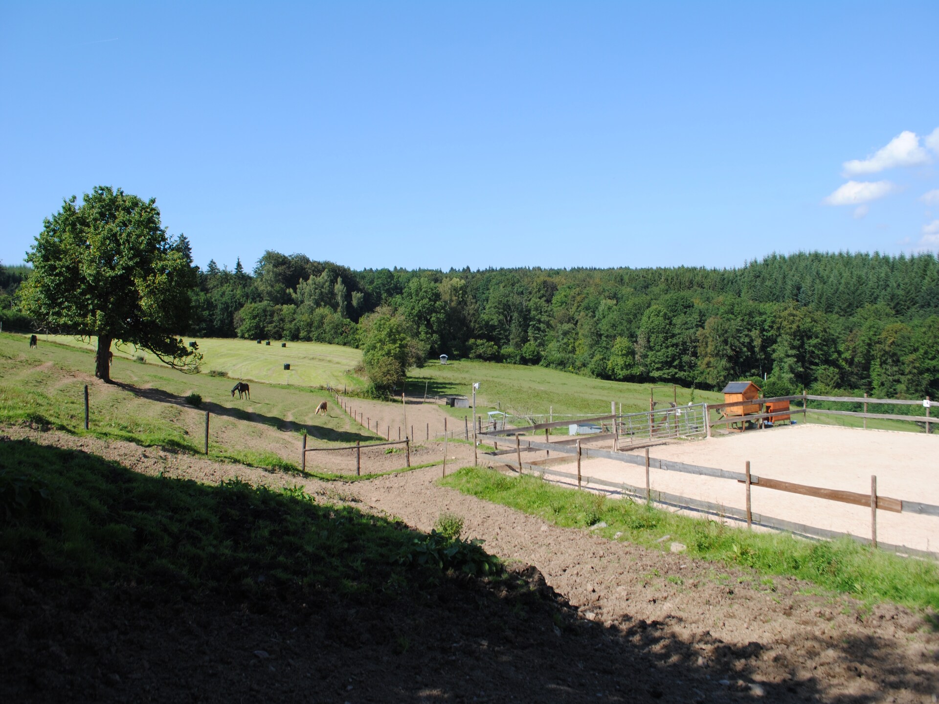 Knus verblijf voor 6 in de bossen bij Stavelot, vlakbij Spa-Francorchamps - foto 9