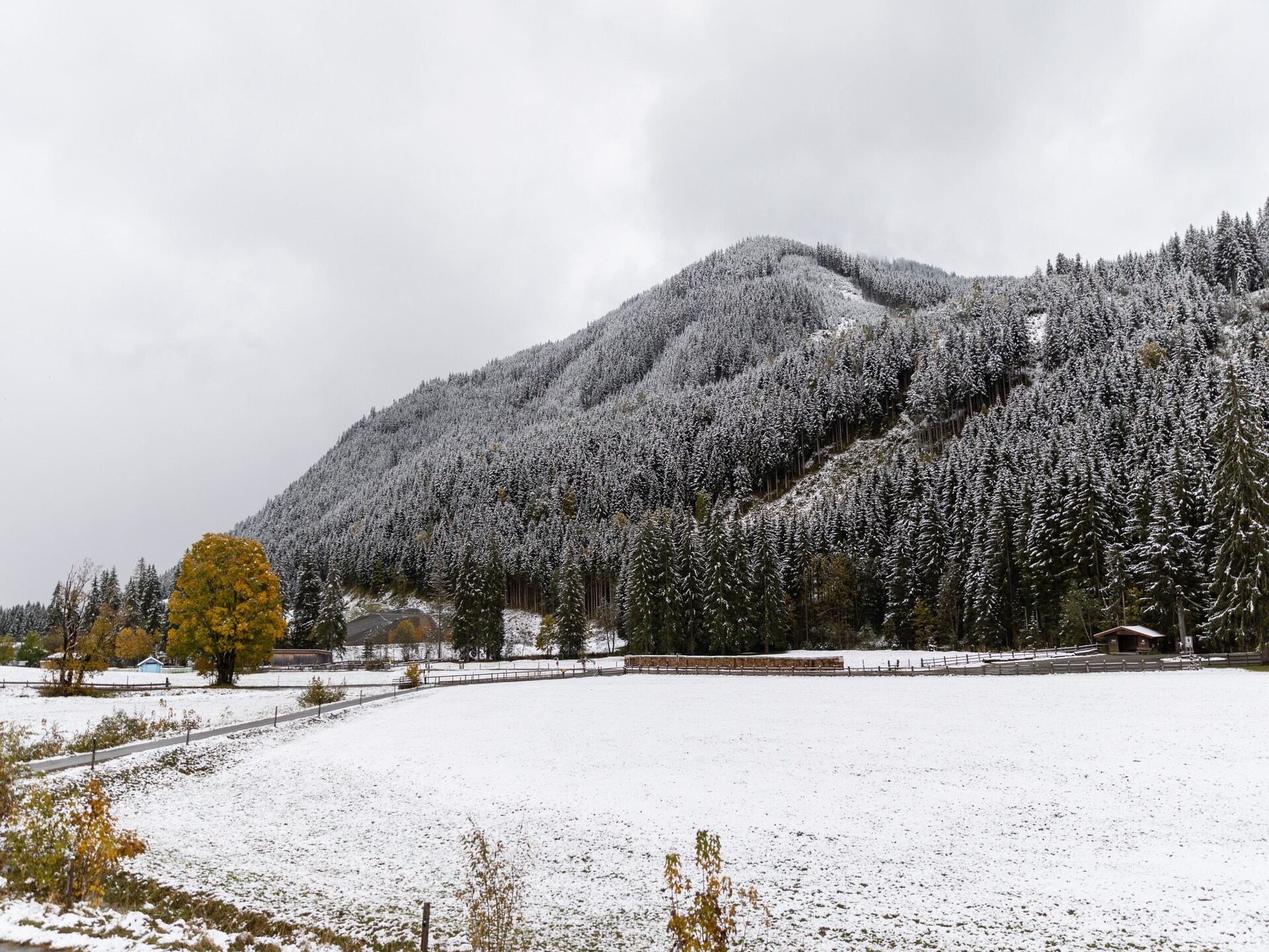 Ruim chaletappartement voor 8 personen aan de skipiste in Saalbach-Hinterglemm - foto 21