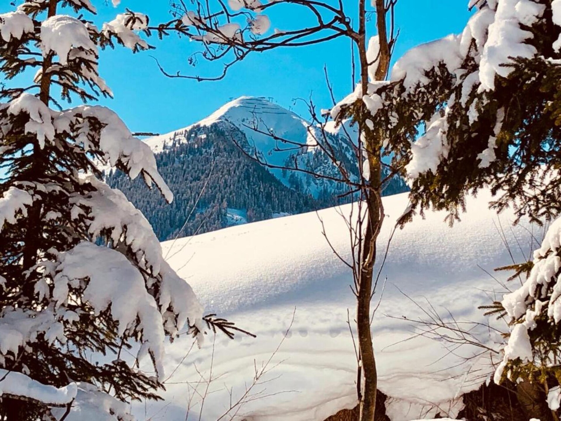 Ruim 14-persoons chalet aan de piste in Saalbach-Hinterglemm met bergzicht - foto 28