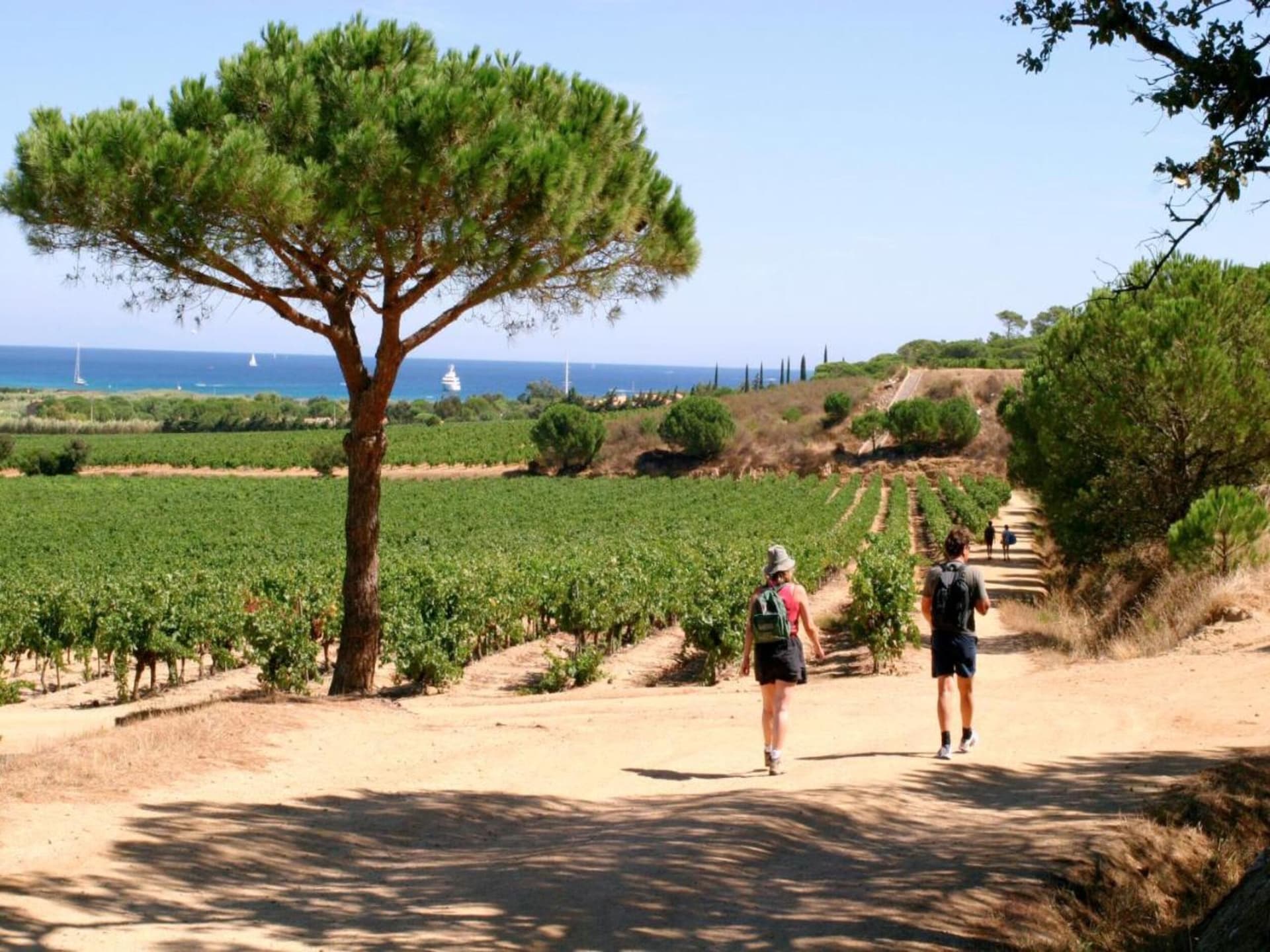 Op 400 m van het strand: Luxe villa met privézwembad in Saint Tropez - foto 32