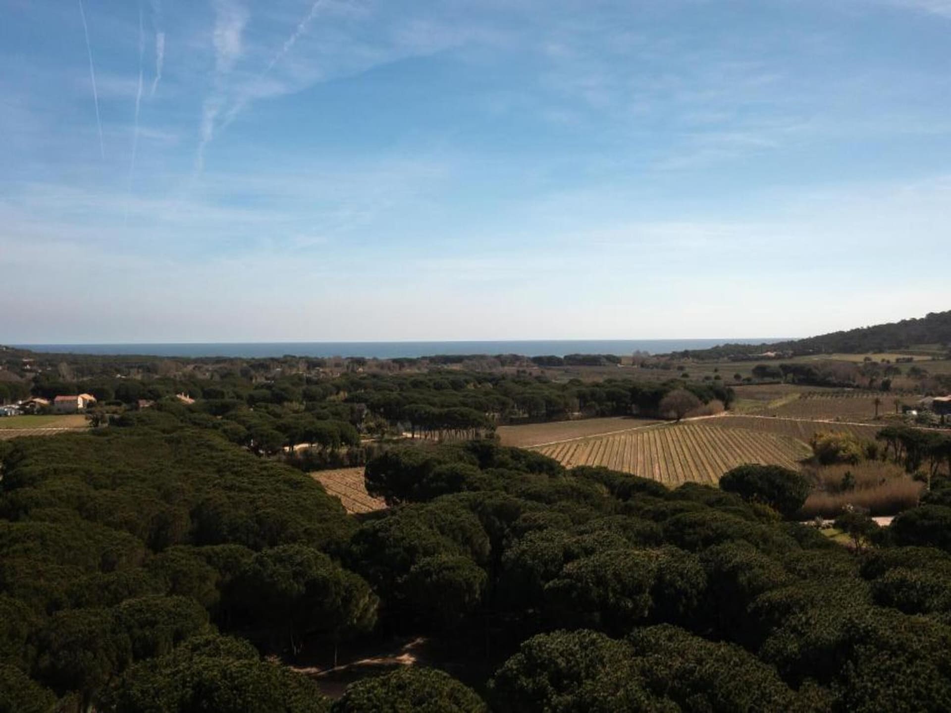 Op 400 m van het strand: Luxe villa met privézwembad in Saint Tropez - foto 36