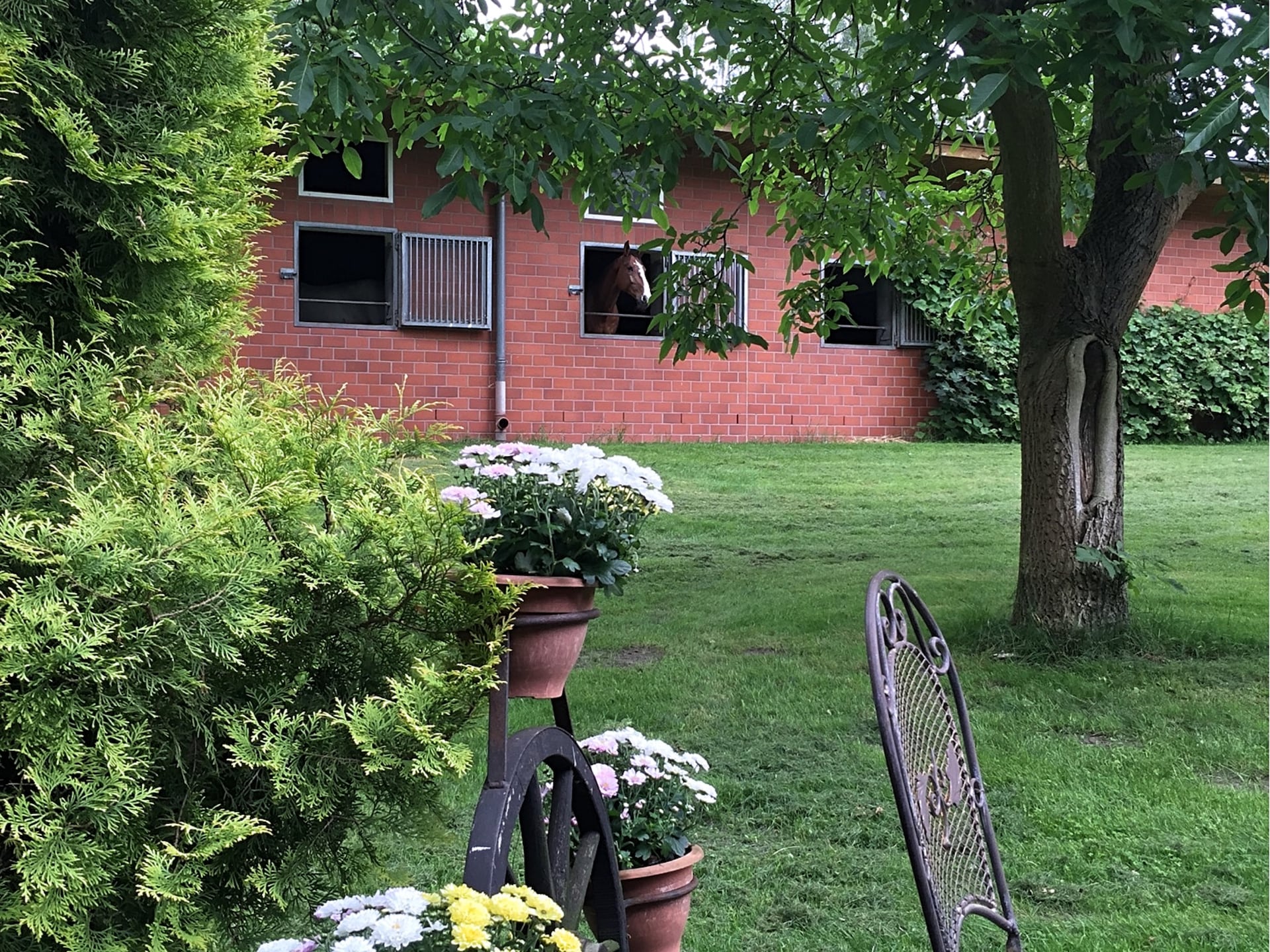 2-persoons vakantiehuis in het centrum van Kirchdorf - foto 13