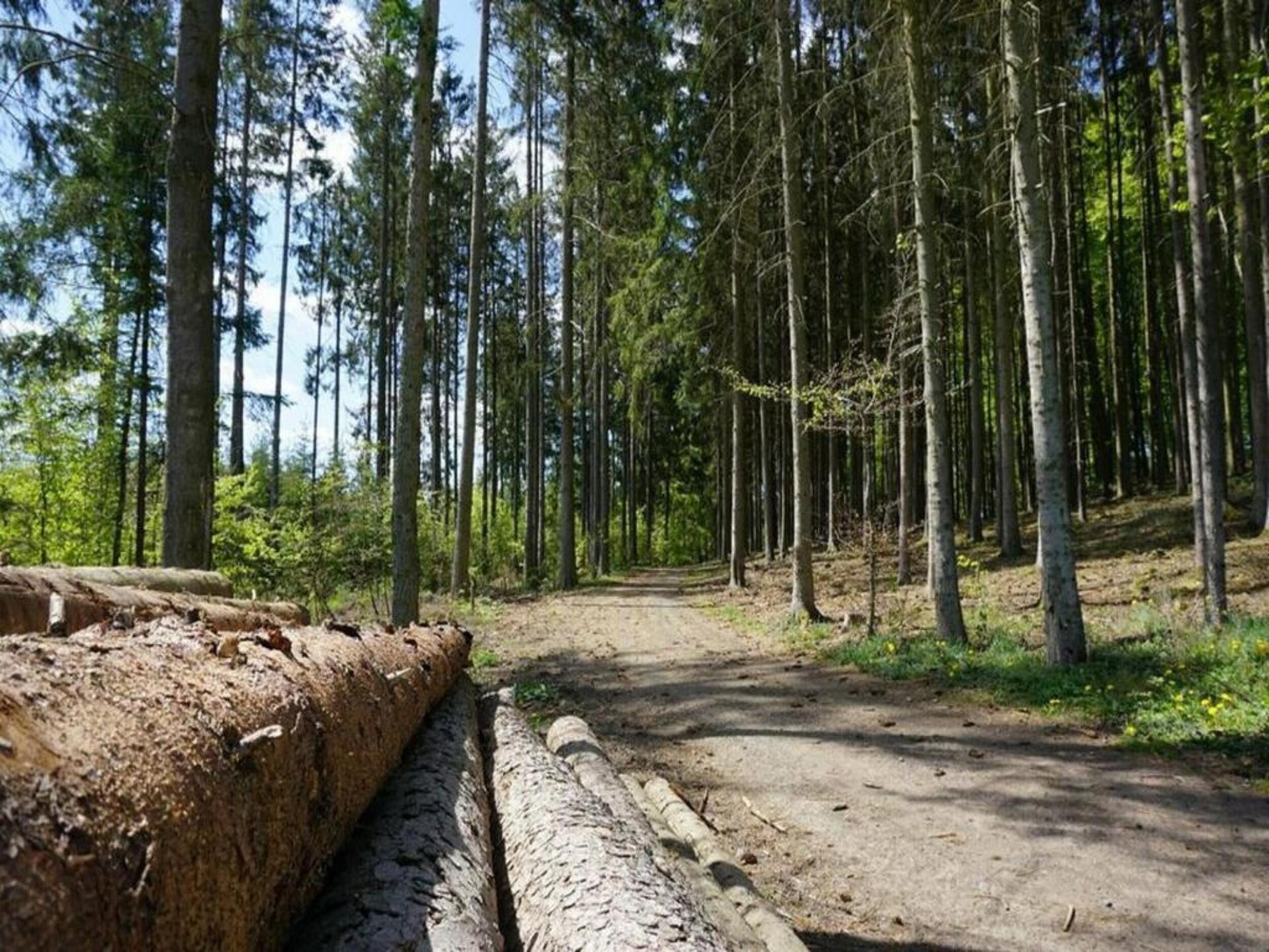 Vrijstaand vakantiehuis in het bos bij Kirchheim, vlakbij meer en golfbaan - foto 24