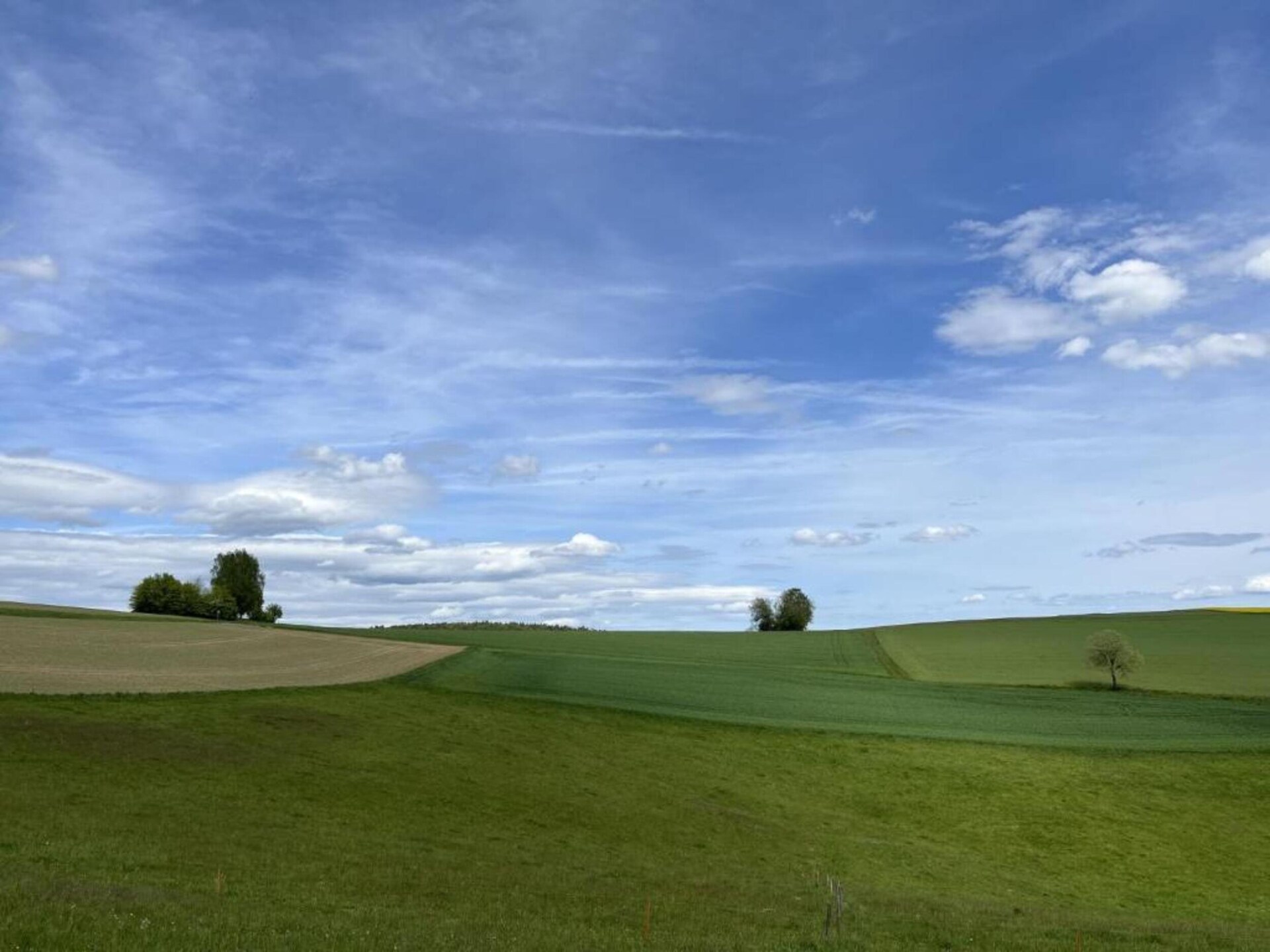 Vrijstaand vakantiehuis in het bos bij Kirchheim, vlakbij meer en golfbaan - foto 28