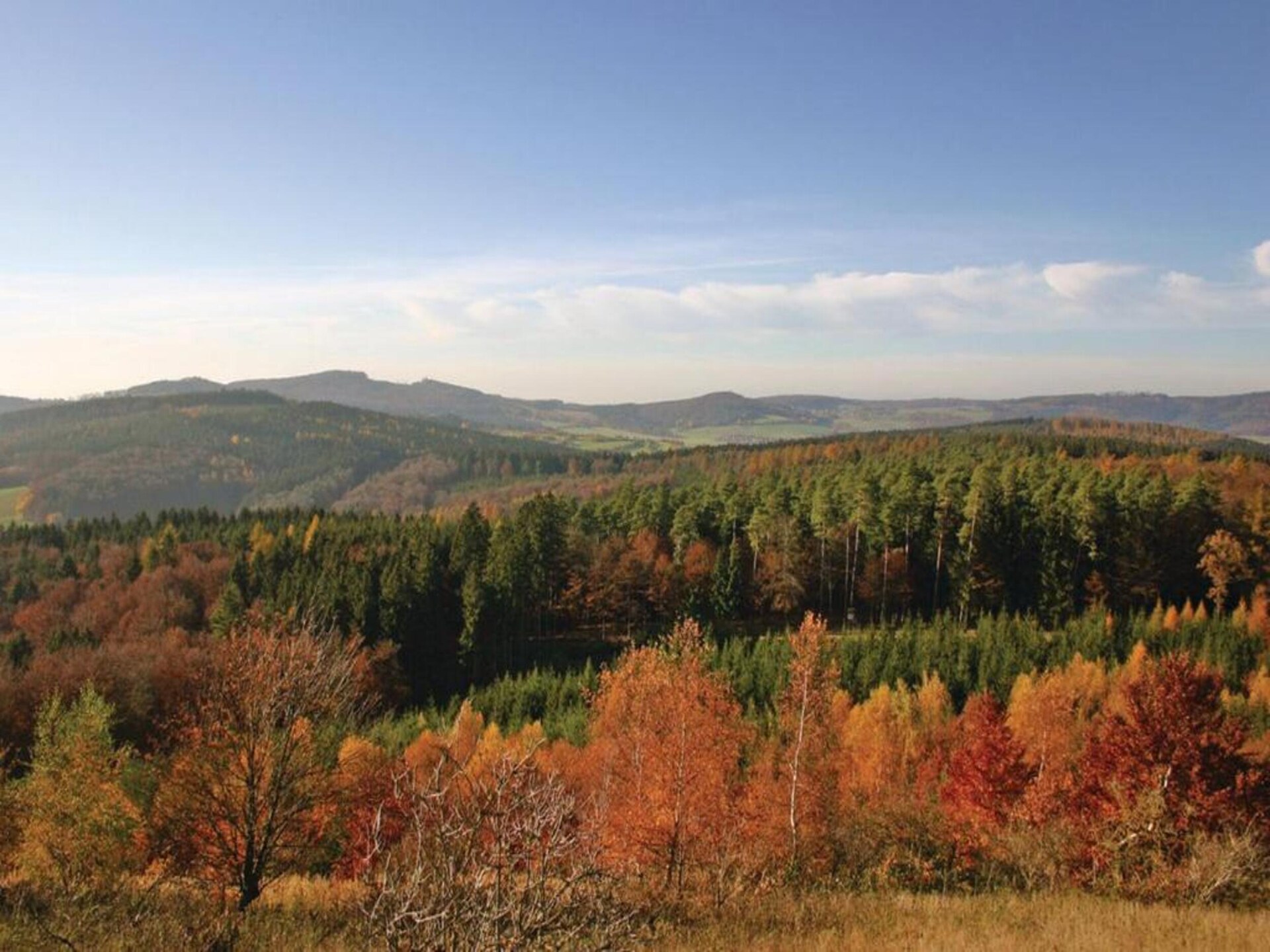 Vrijstaand vakantiehuis in het bos bij Kirchheim, vlakbij meer en golfbaan - foto 31