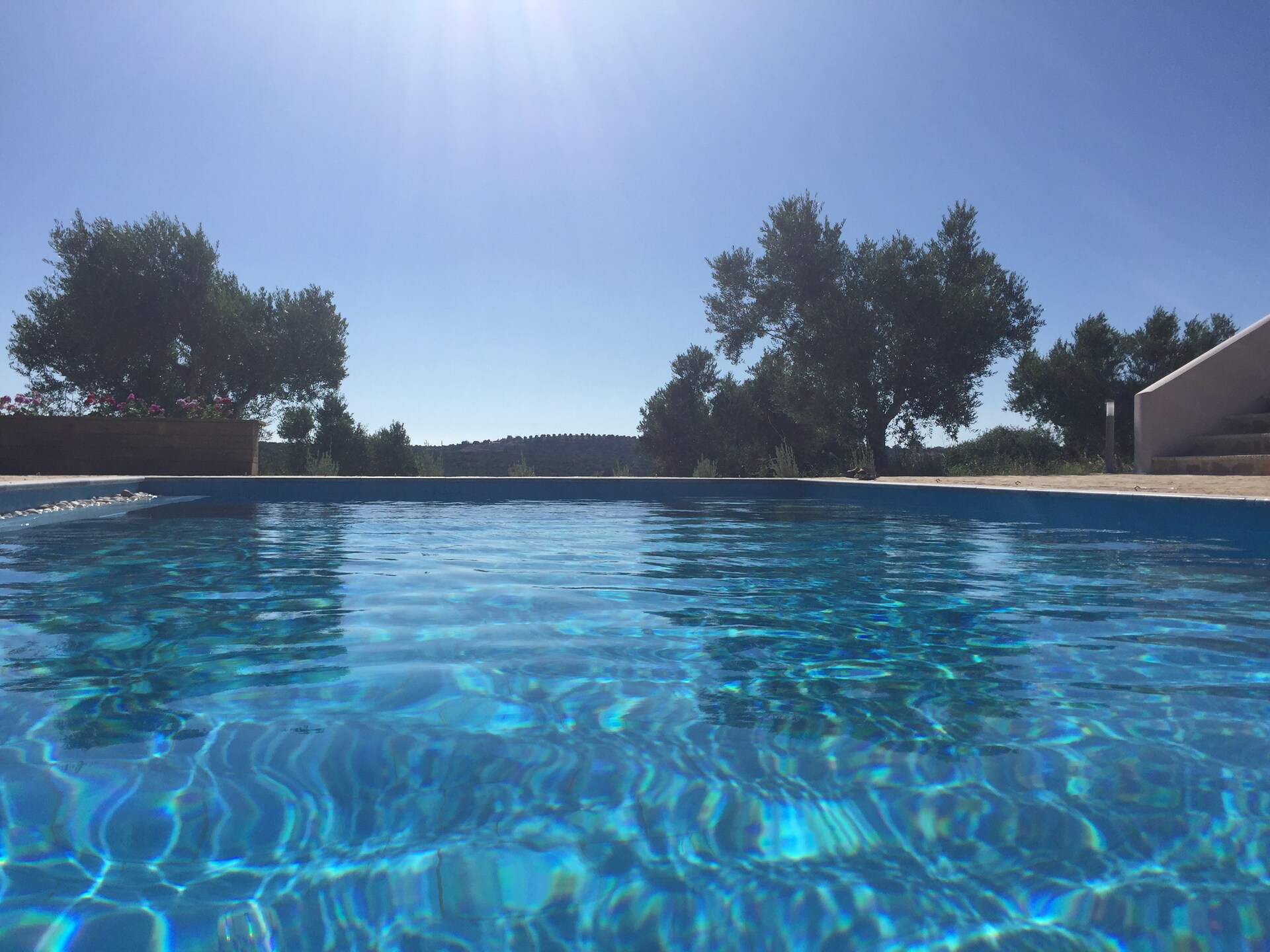 Villa Kamaria: Luxe rust in olijfgaard met privézwembad en zeezicht - foto 26