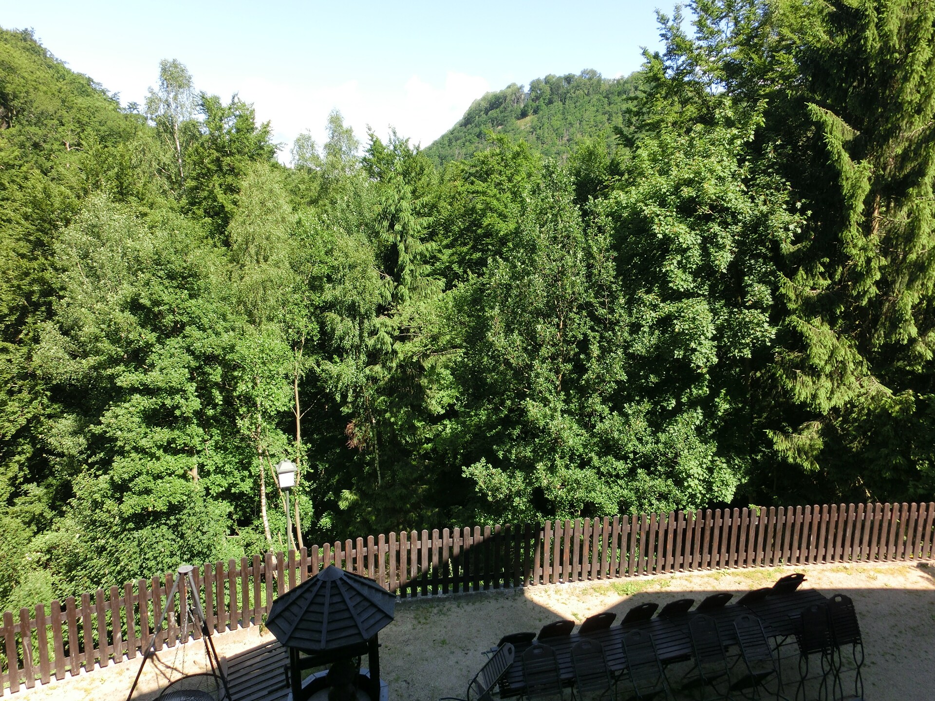 Historisch boshuis in de Harz: rust, natuur en avontuur bij Bad Harzburg - foto 38