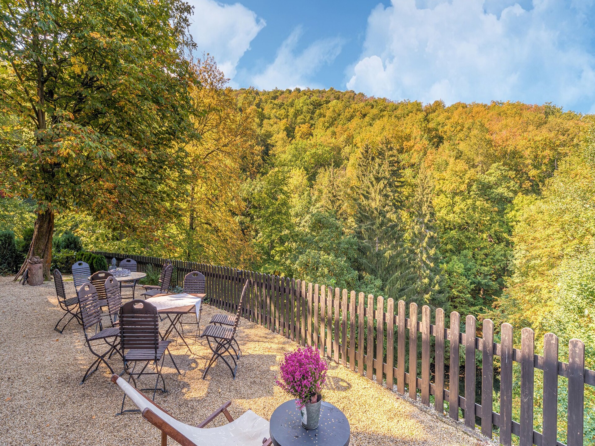 Historisch boshuis in de Harz: rust, natuur en avontuur bij Bad Harzburg - foto 25