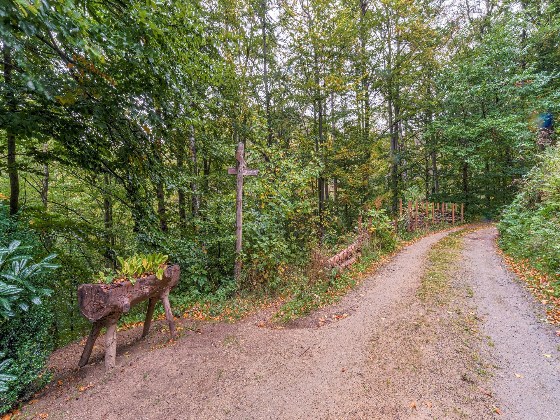 Historisch boshuis in de Harz: rust, natuur en avontuur bij Bad Harzburg - foto 29