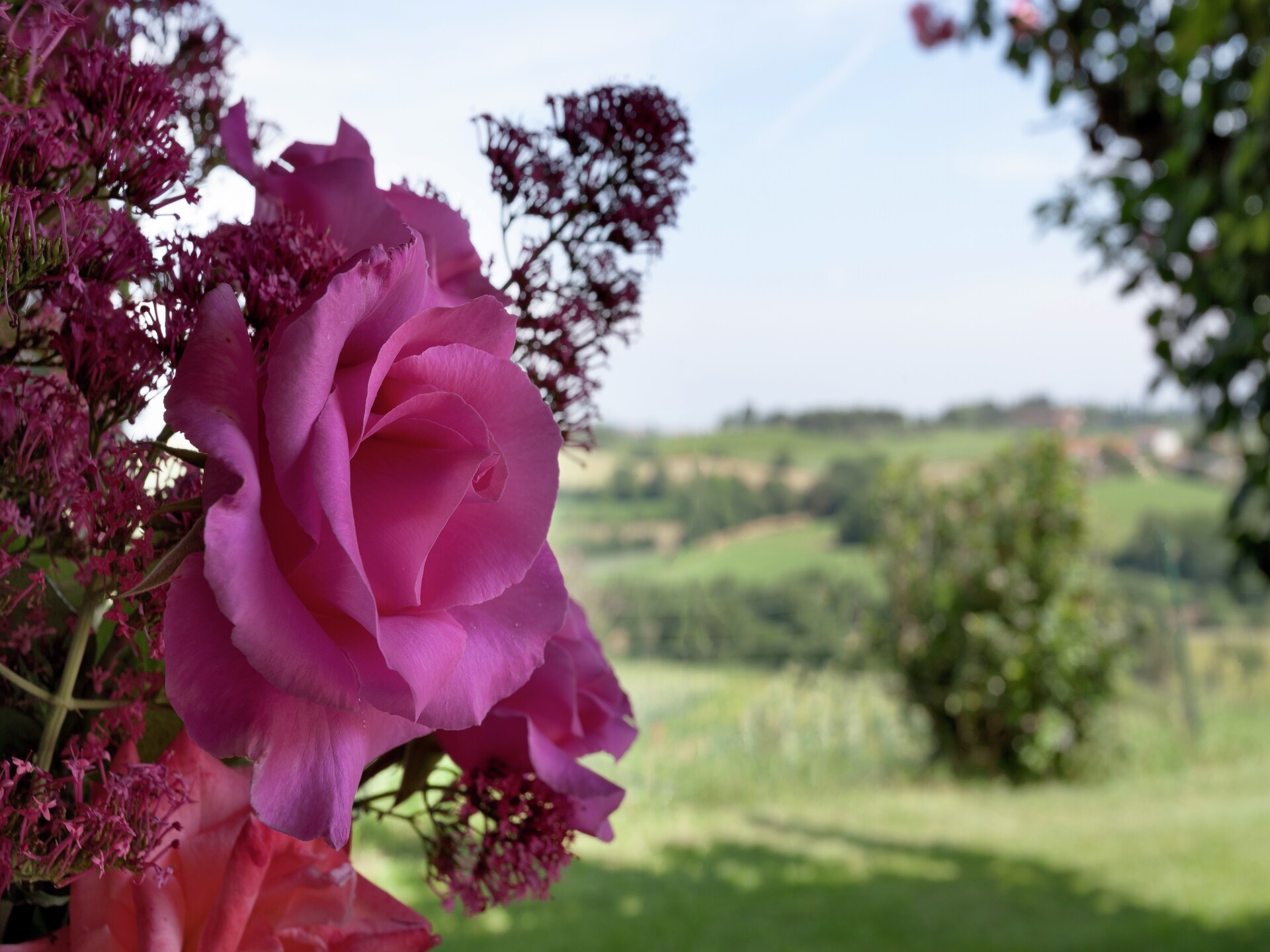 Bekroond vakantiehuis in Toscane met privézwembad bij Cortona - foto 23