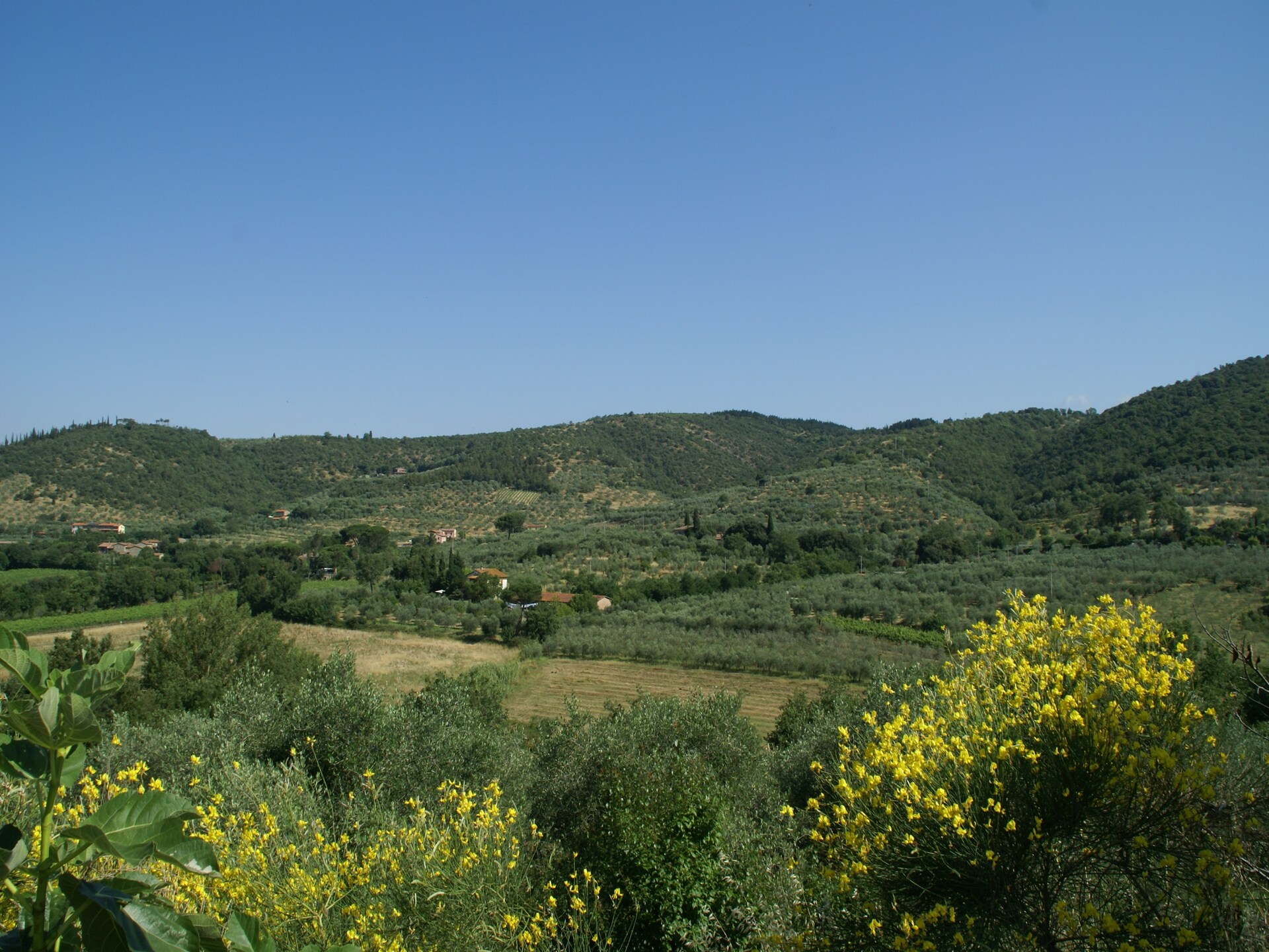 Bekroond vakantiehuis in Toscane met privézwembad bij Cortona - foto 21
