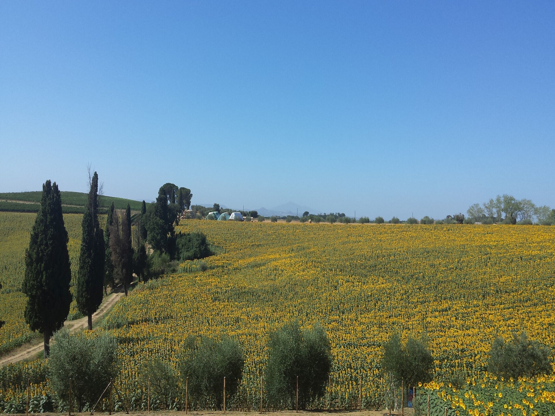 Bekroond vakantiehuis in Toscane met privézwembad bij Cortona - foto 14