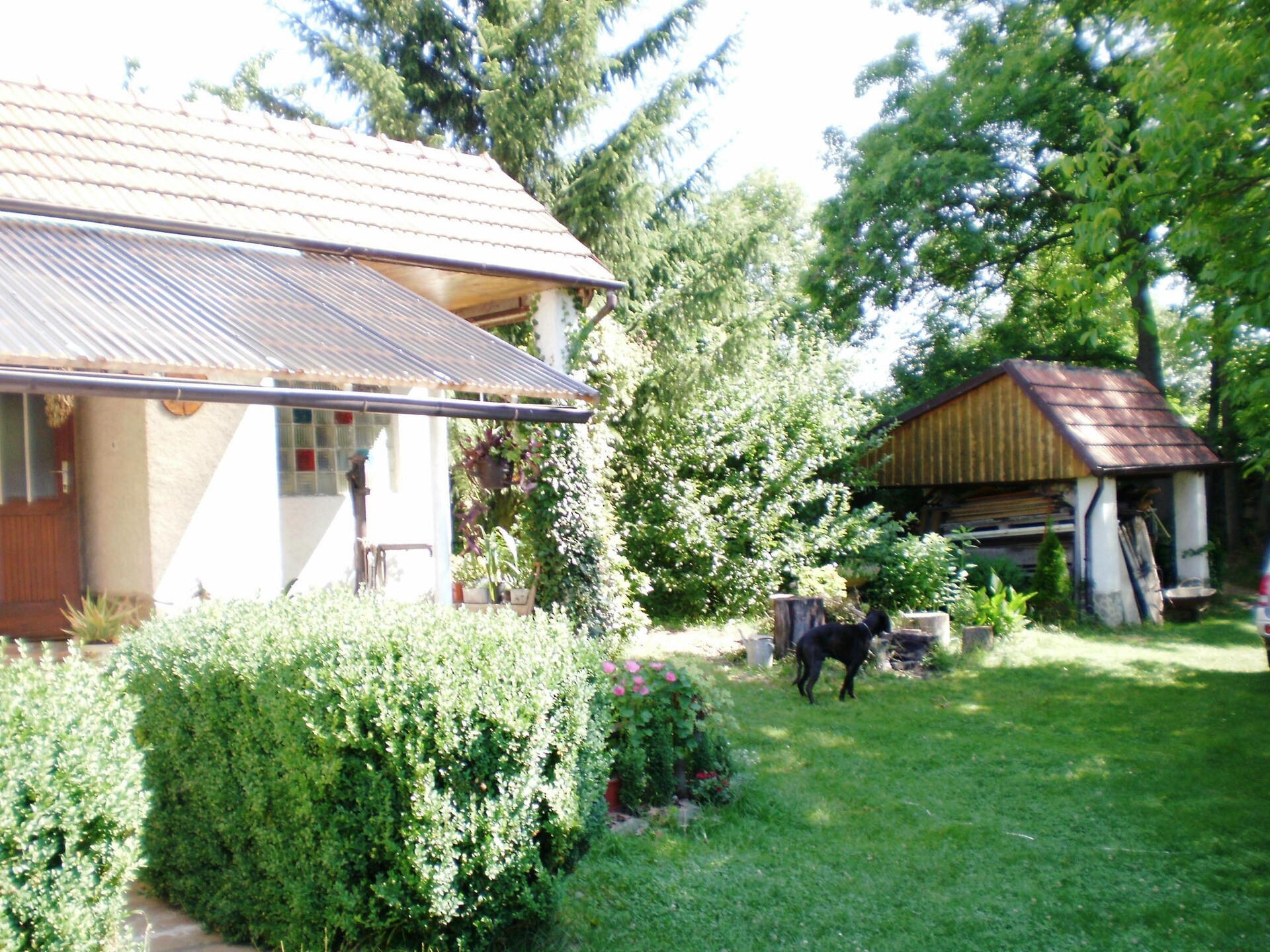 Pohoda: vrijstaand huisdiervriendelijk vakantiehuis voor 4 in de bossen bij Praag - foto 27